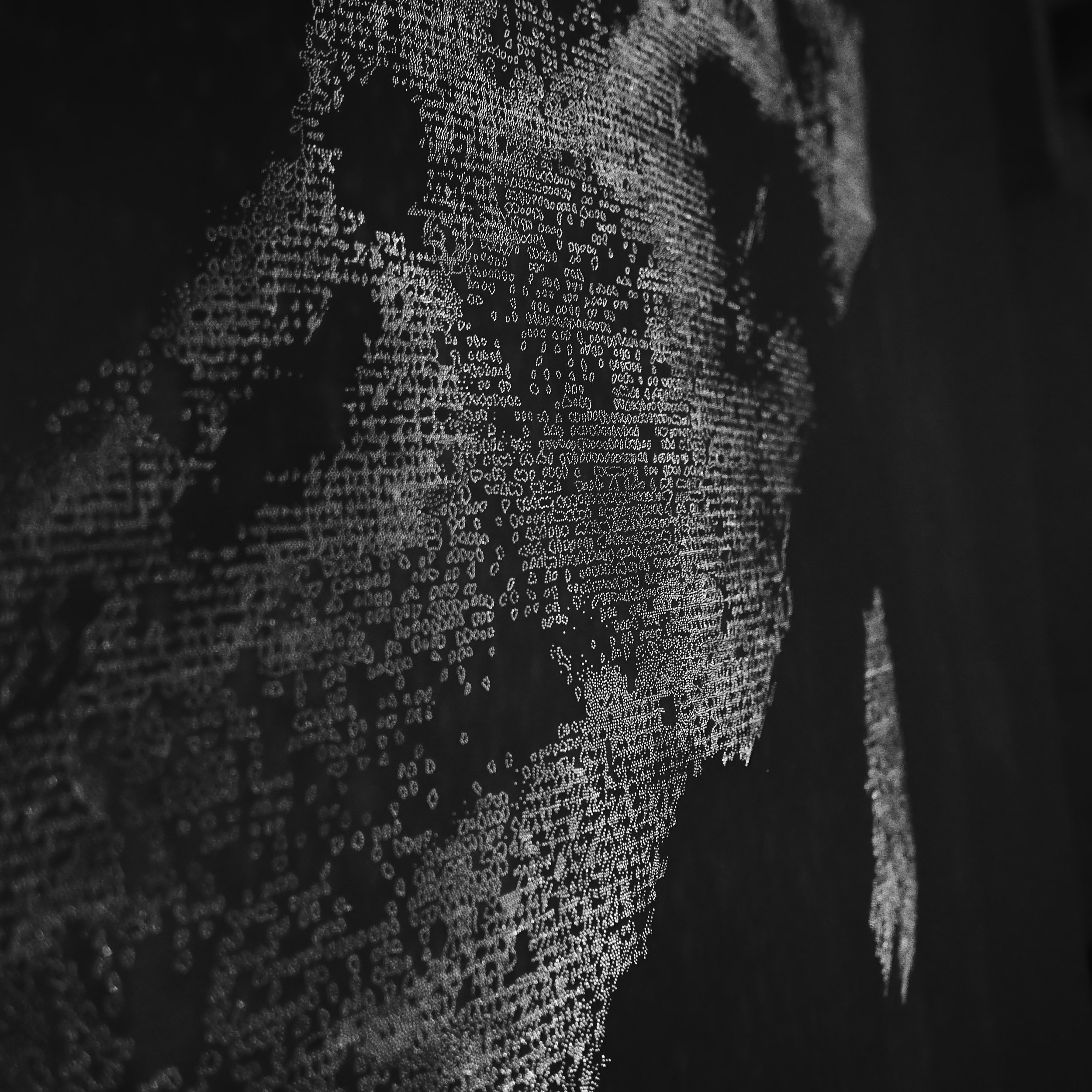 detail from the most recent light drawing (unfinished) - approx. 3m x 2m.