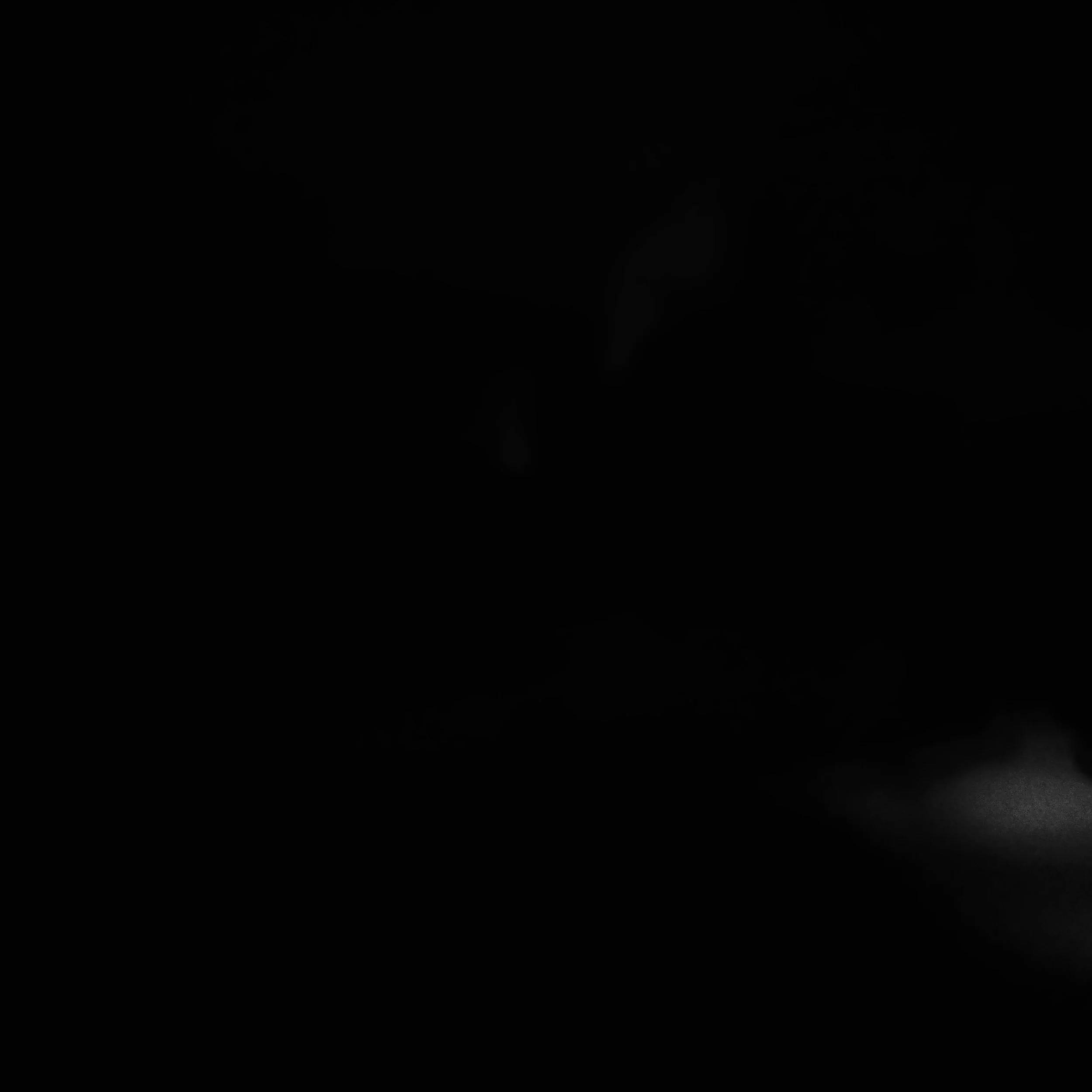 P1100078.jpg