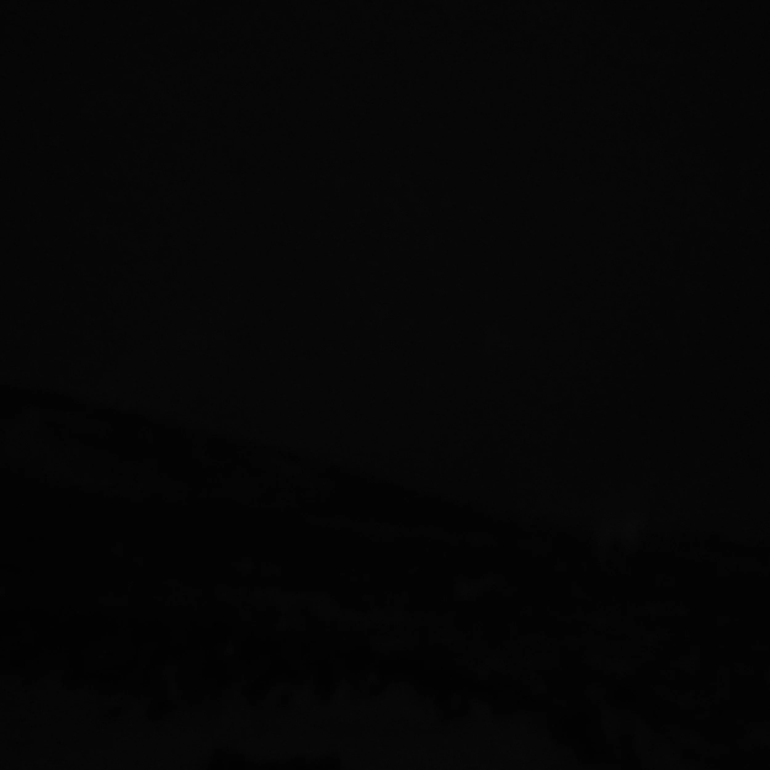 P1100286.jpg
