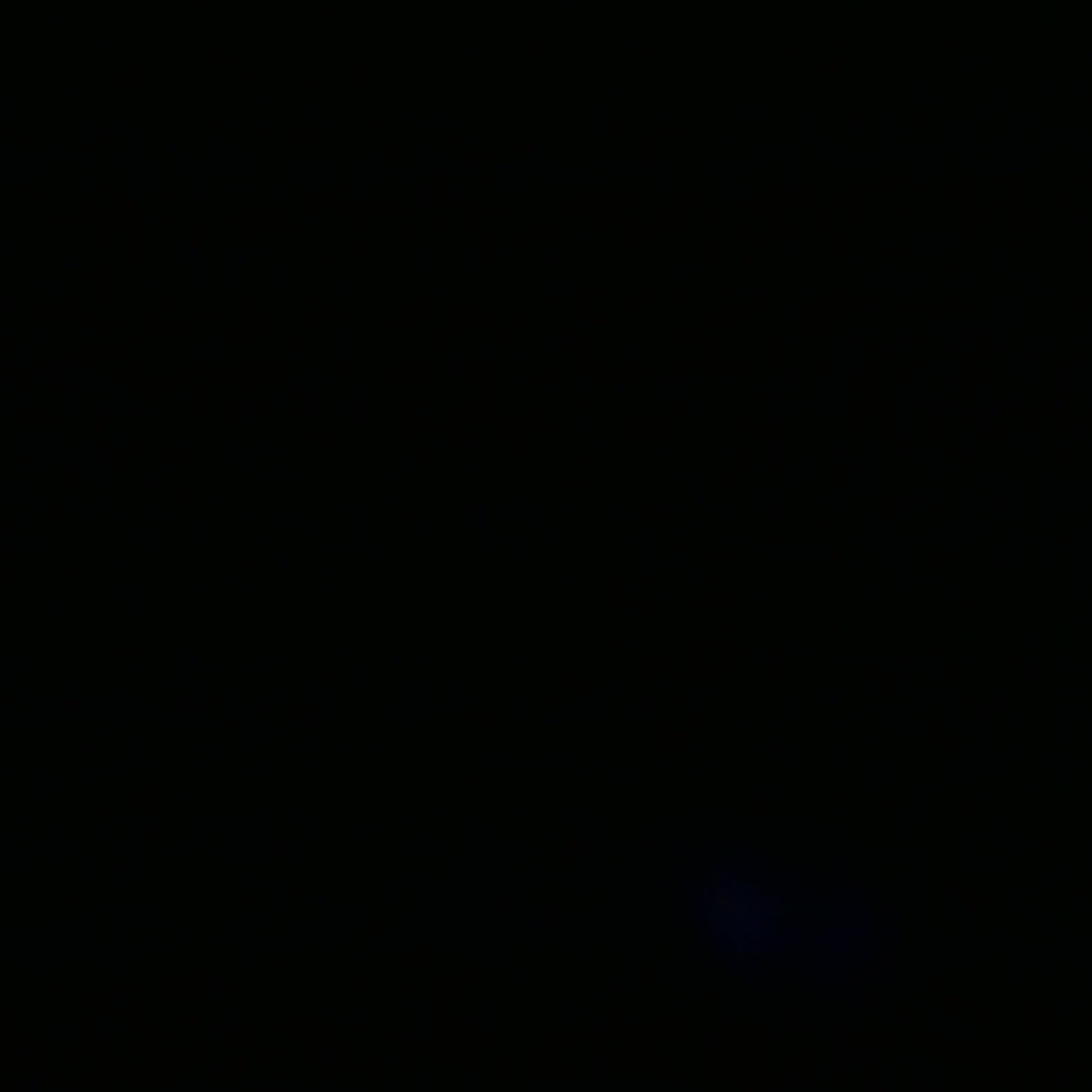 P1100443.jpg