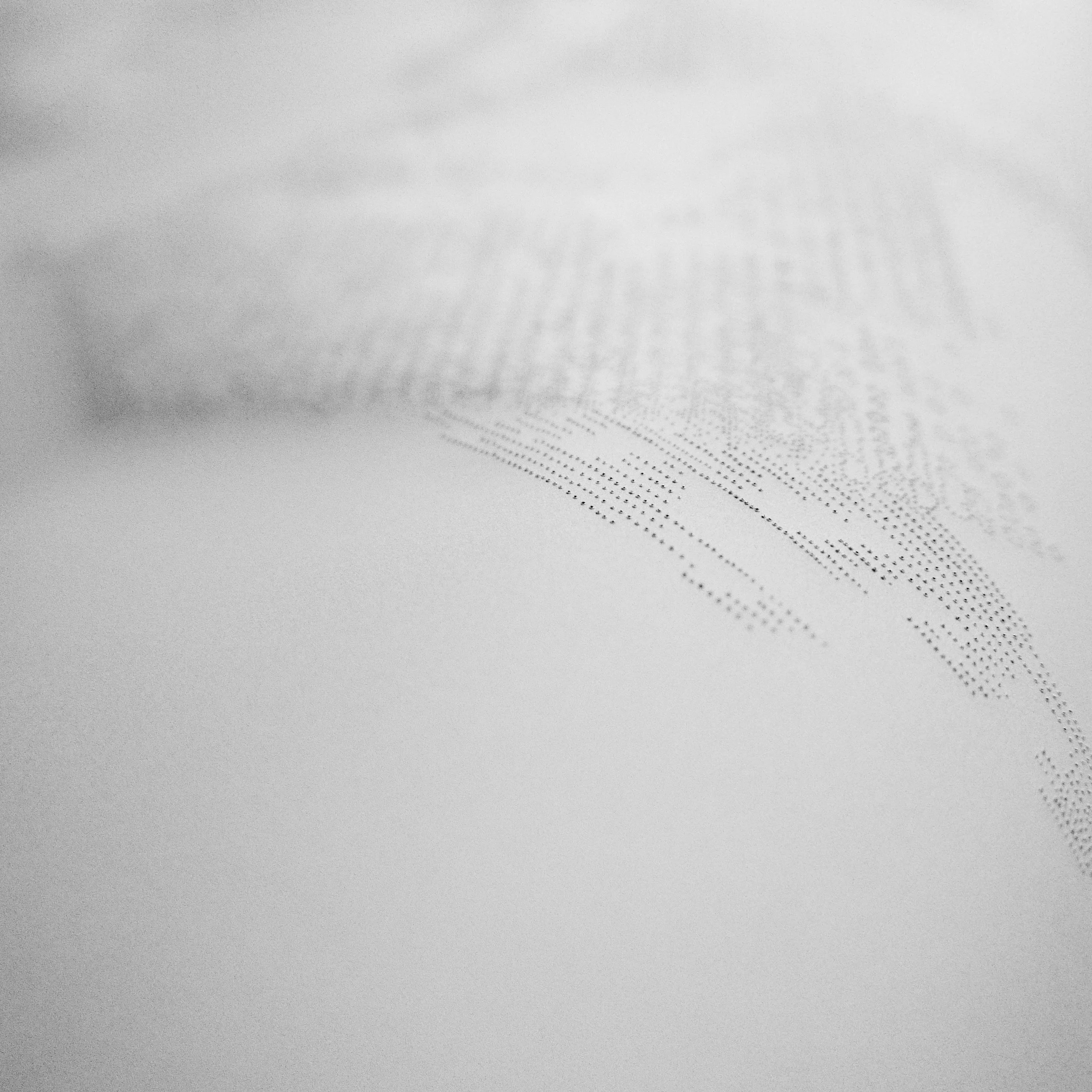 White Light Drawing