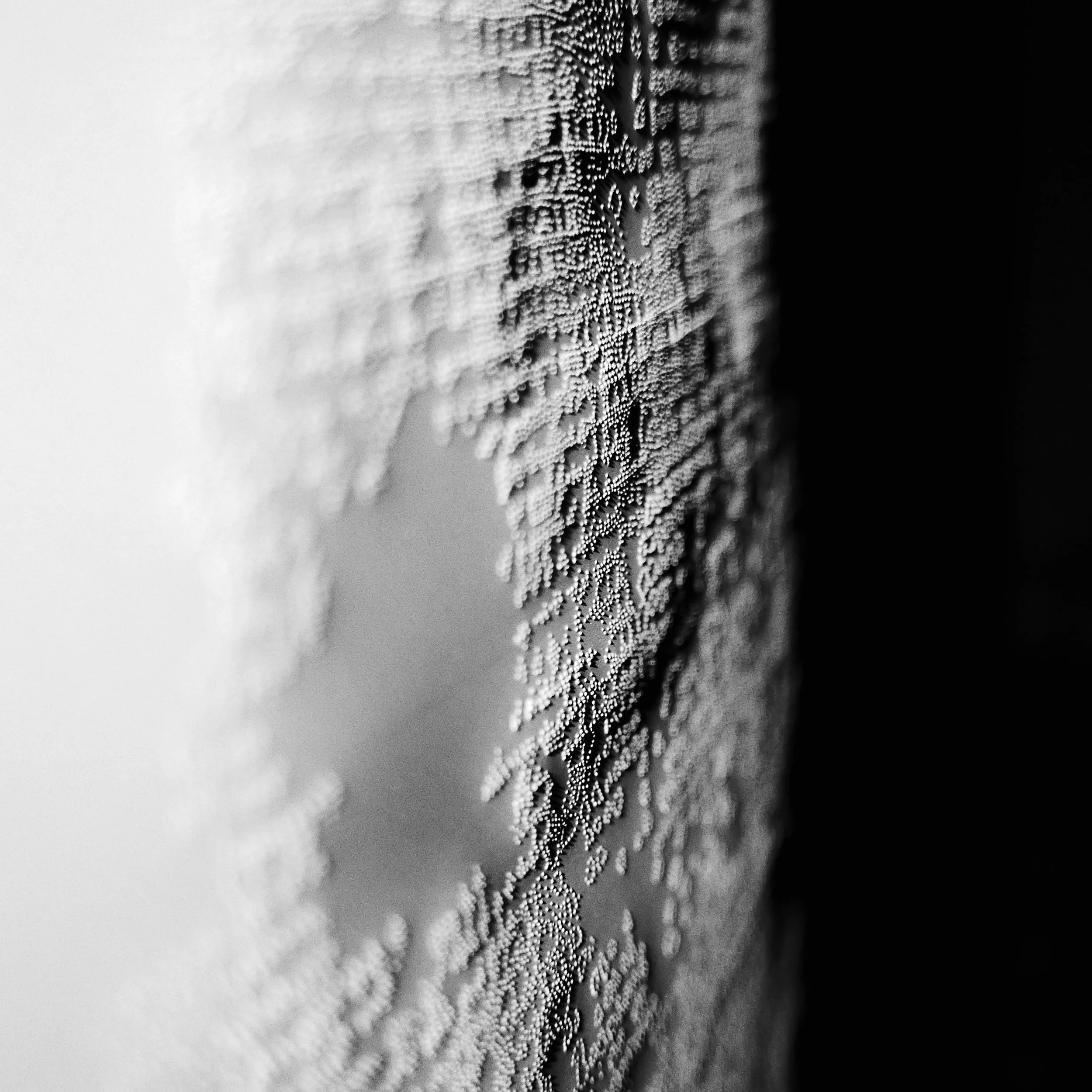 White Light Drawing