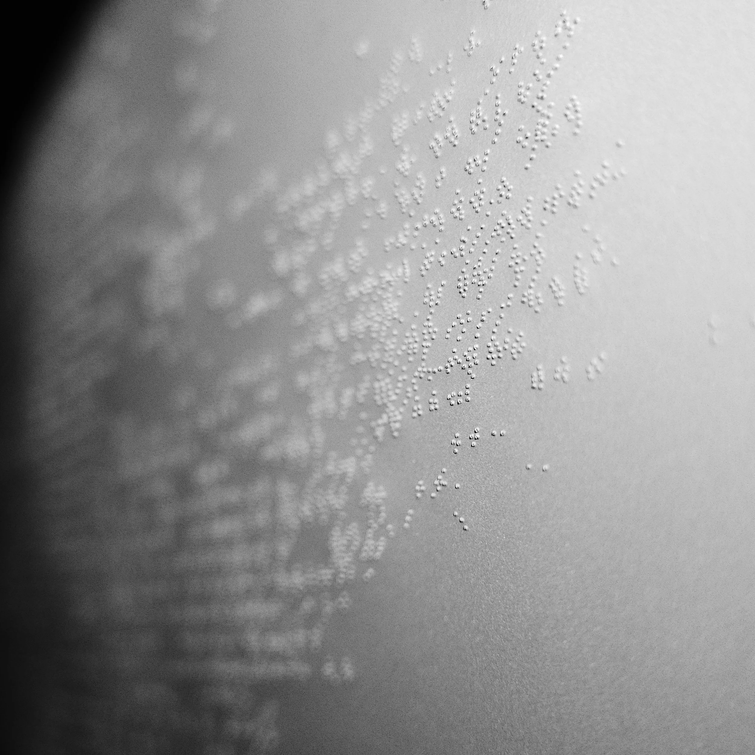 White Light Drawing