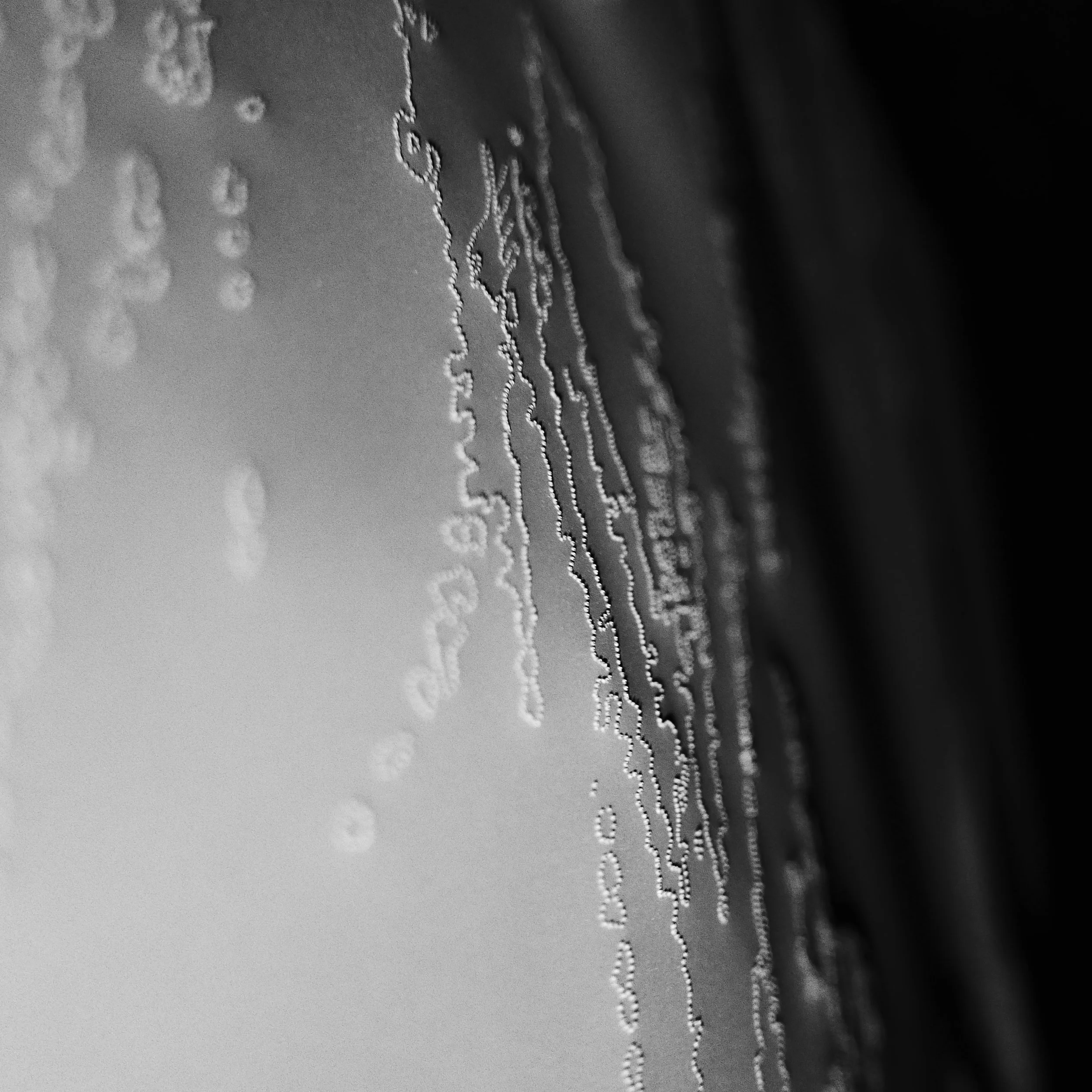 White Light Drawing