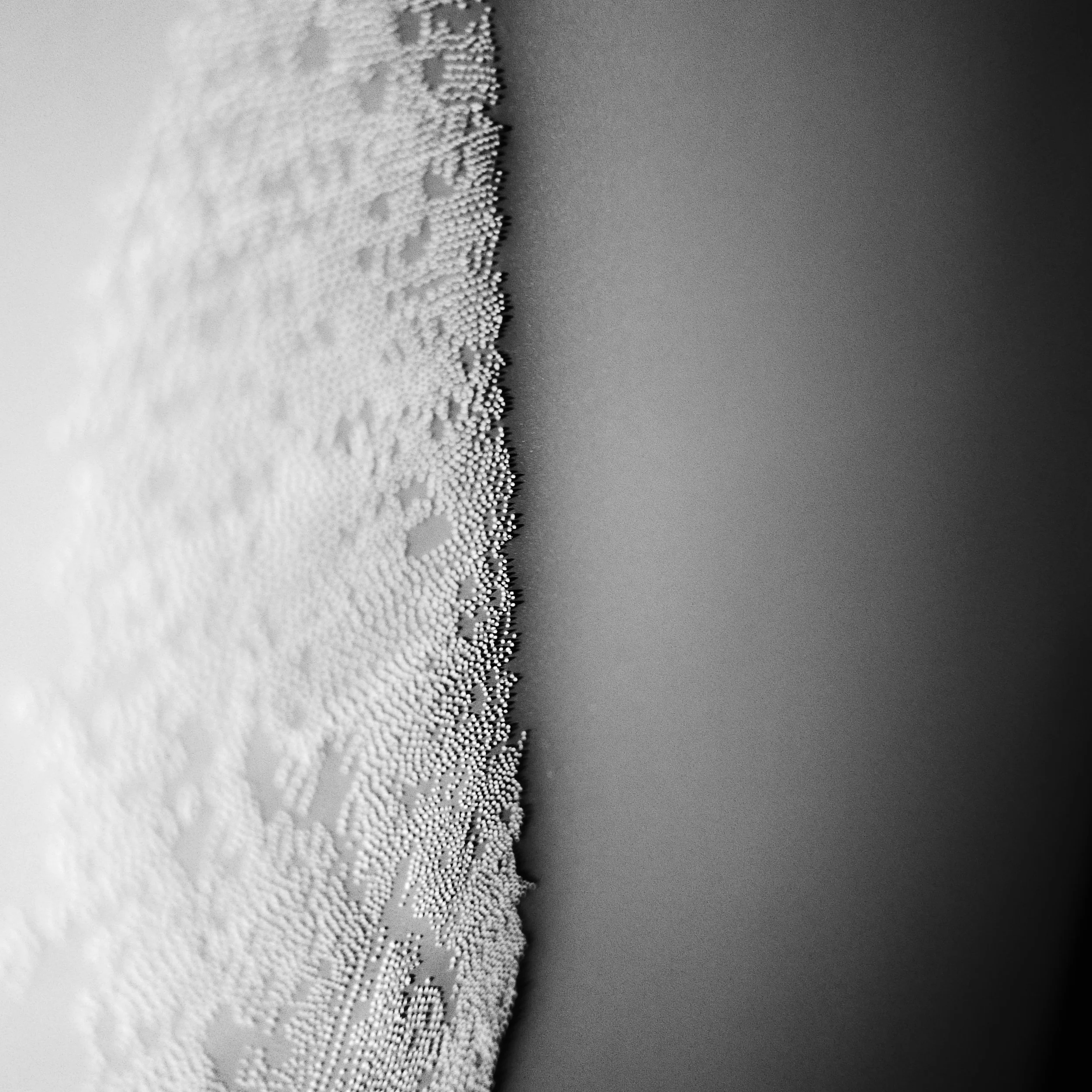 White Light Drawing