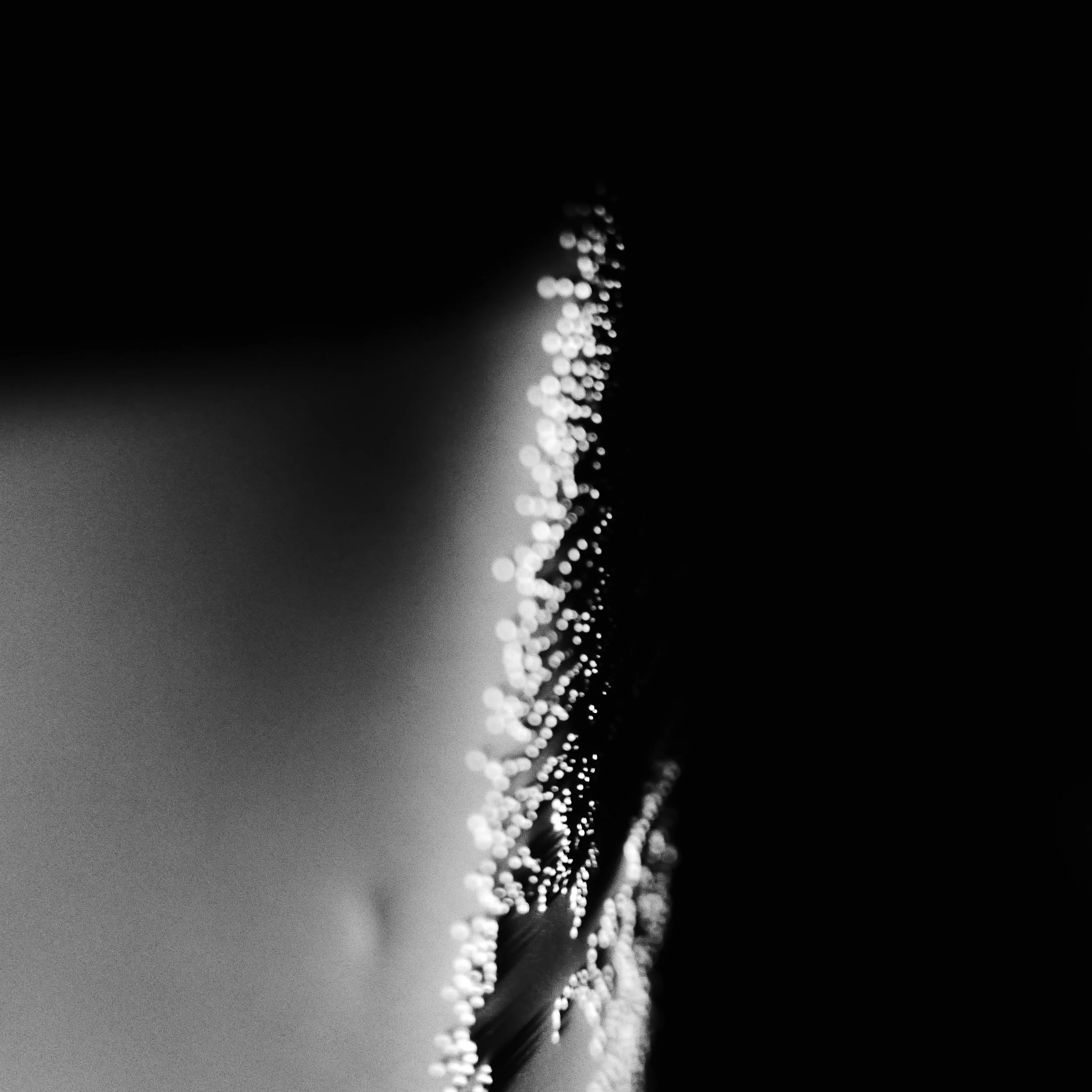 White Light Drawing