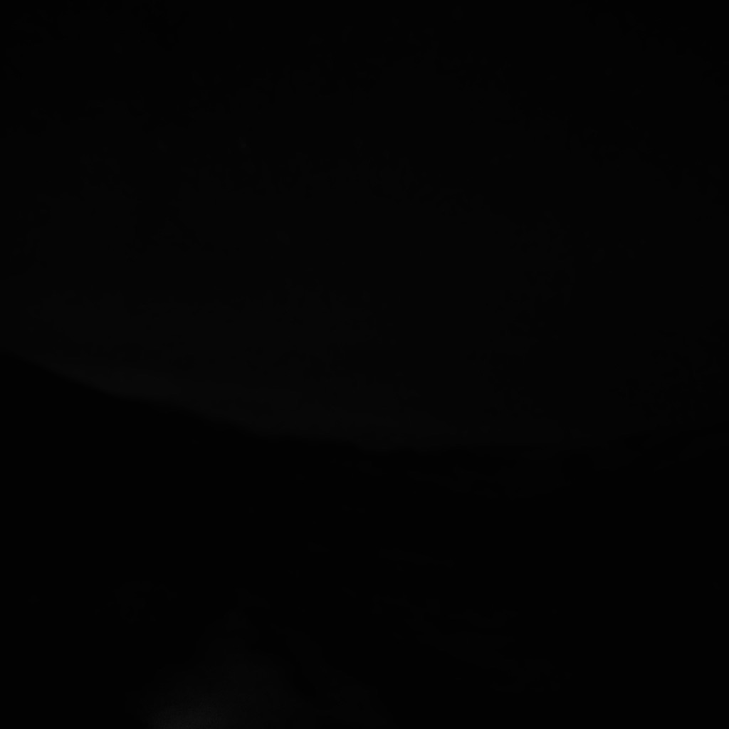 P1100003.jpg