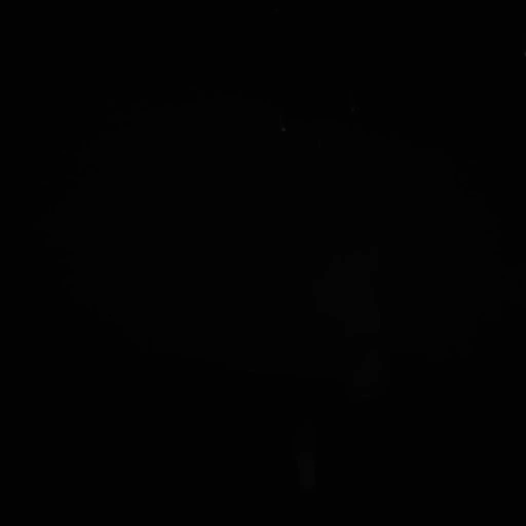 P1100076.jpg