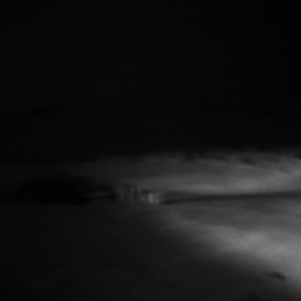 P1100254.jpg