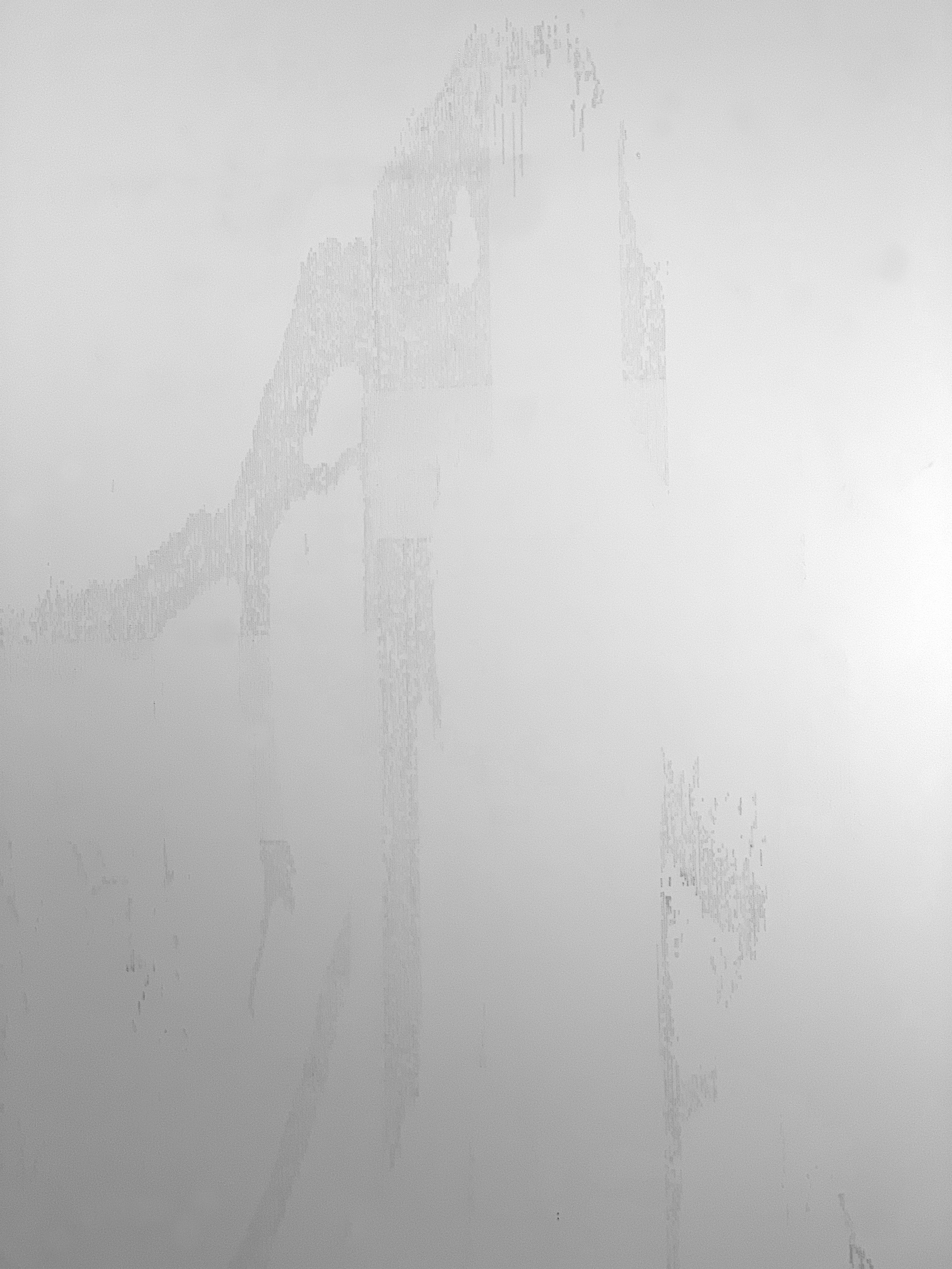 Drawing + Light #7 (detail)