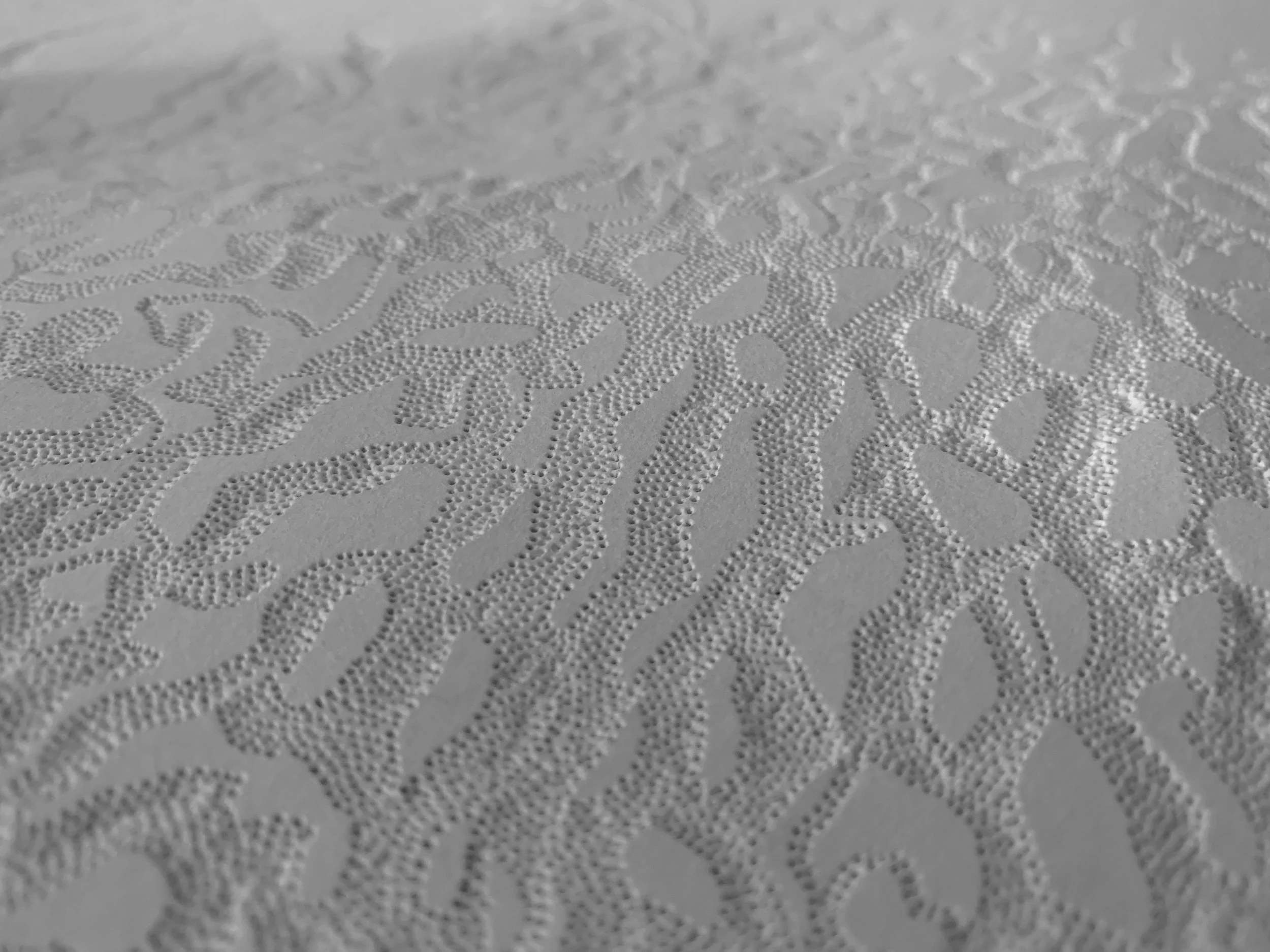 Drawing + Light #6 (detail)