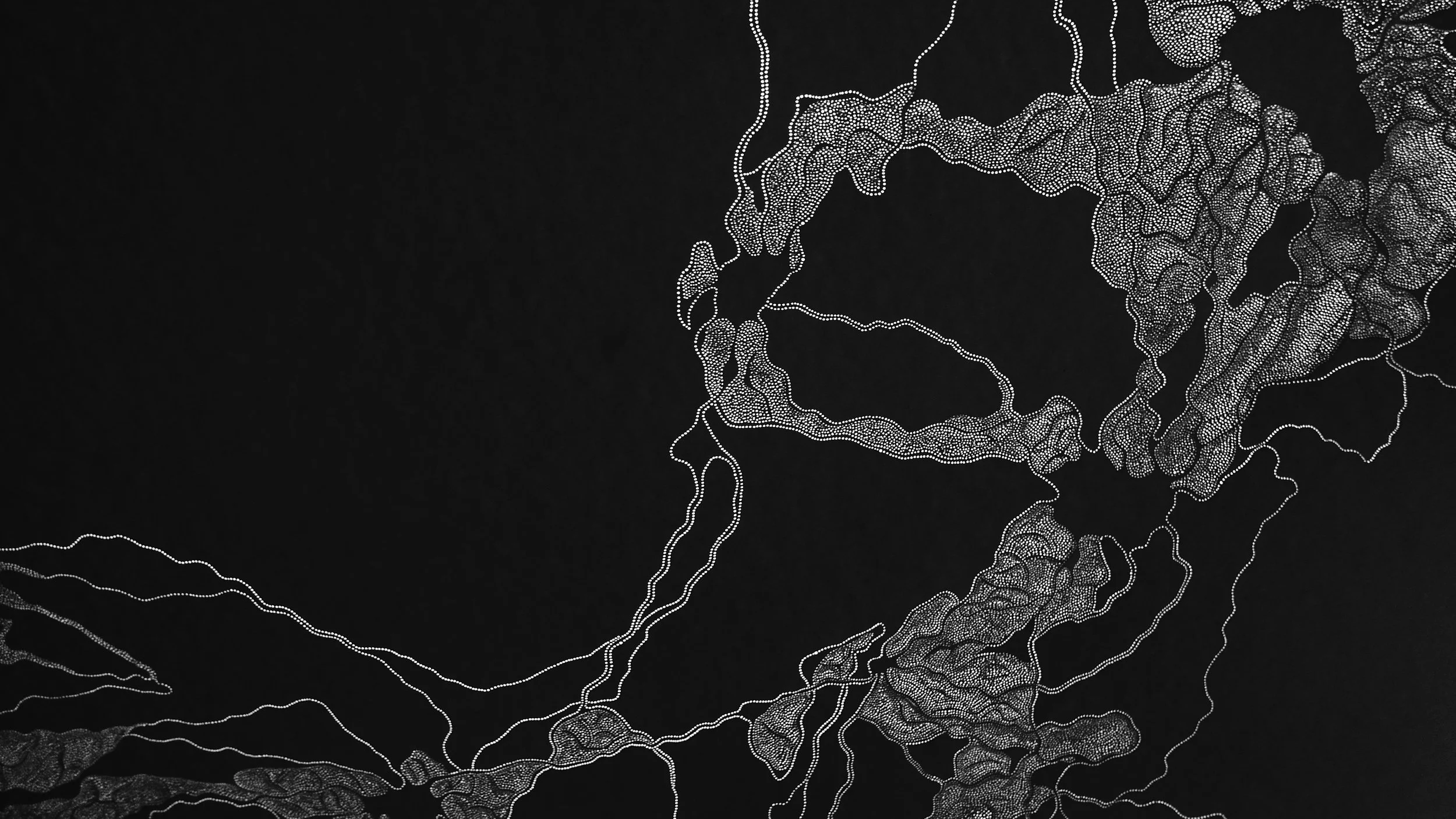 Drawing + Light #6 (detail)