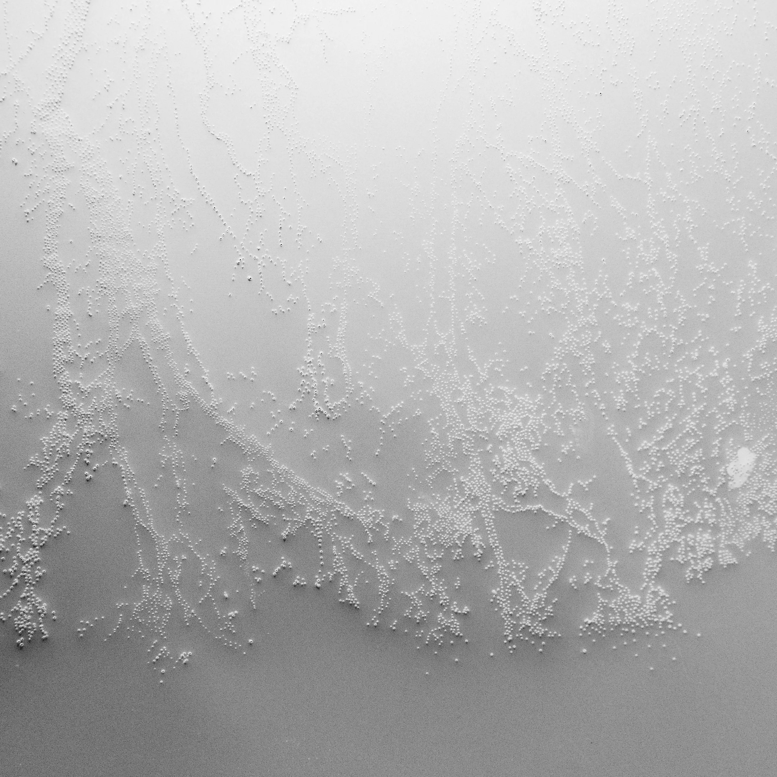 LightDrawing4m_Print300.jpg