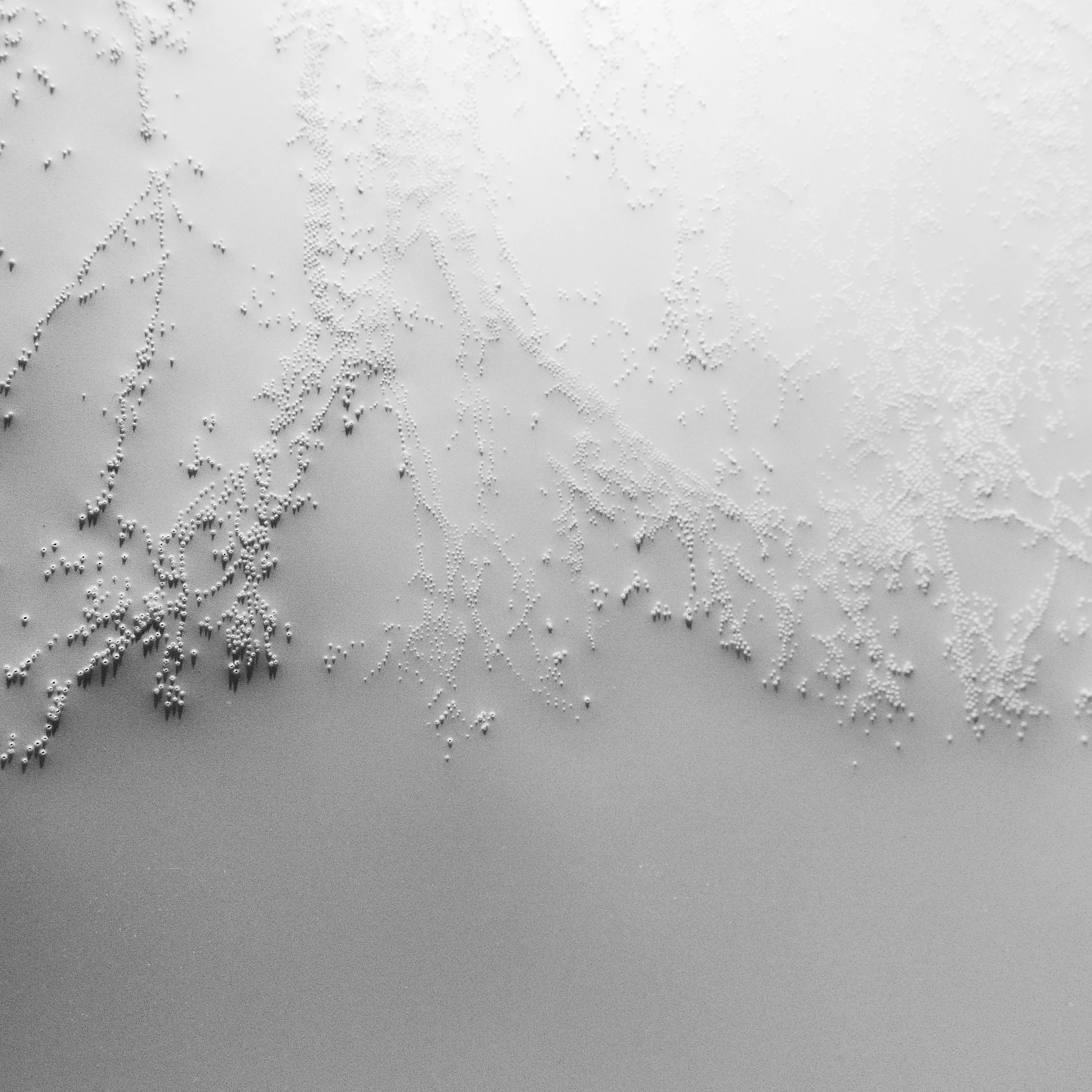 LightDrawing4p_Print300.jpg