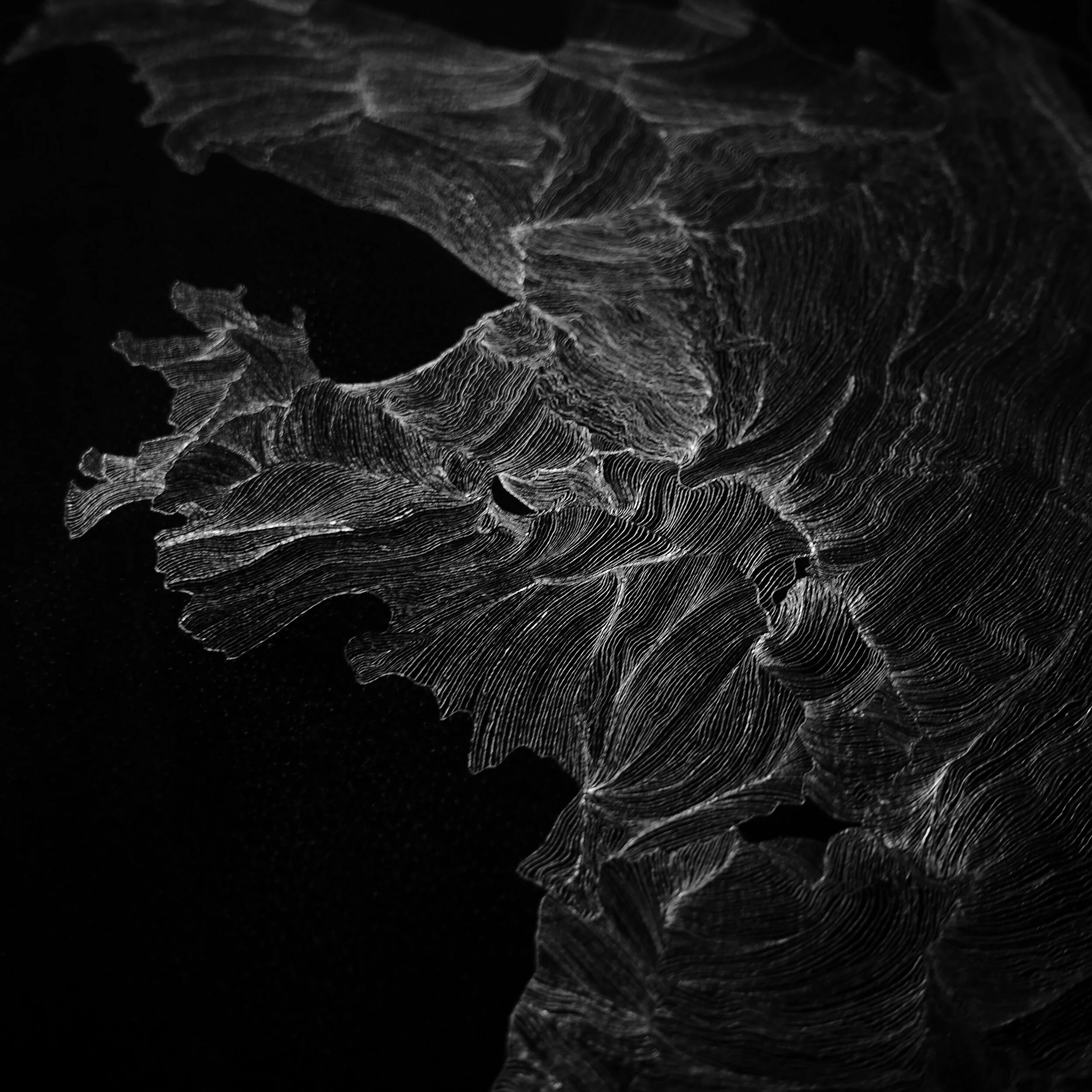 Light Drawing Directional Change