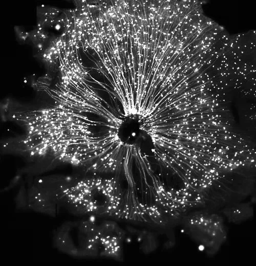 Ideas, Links &amp; Research