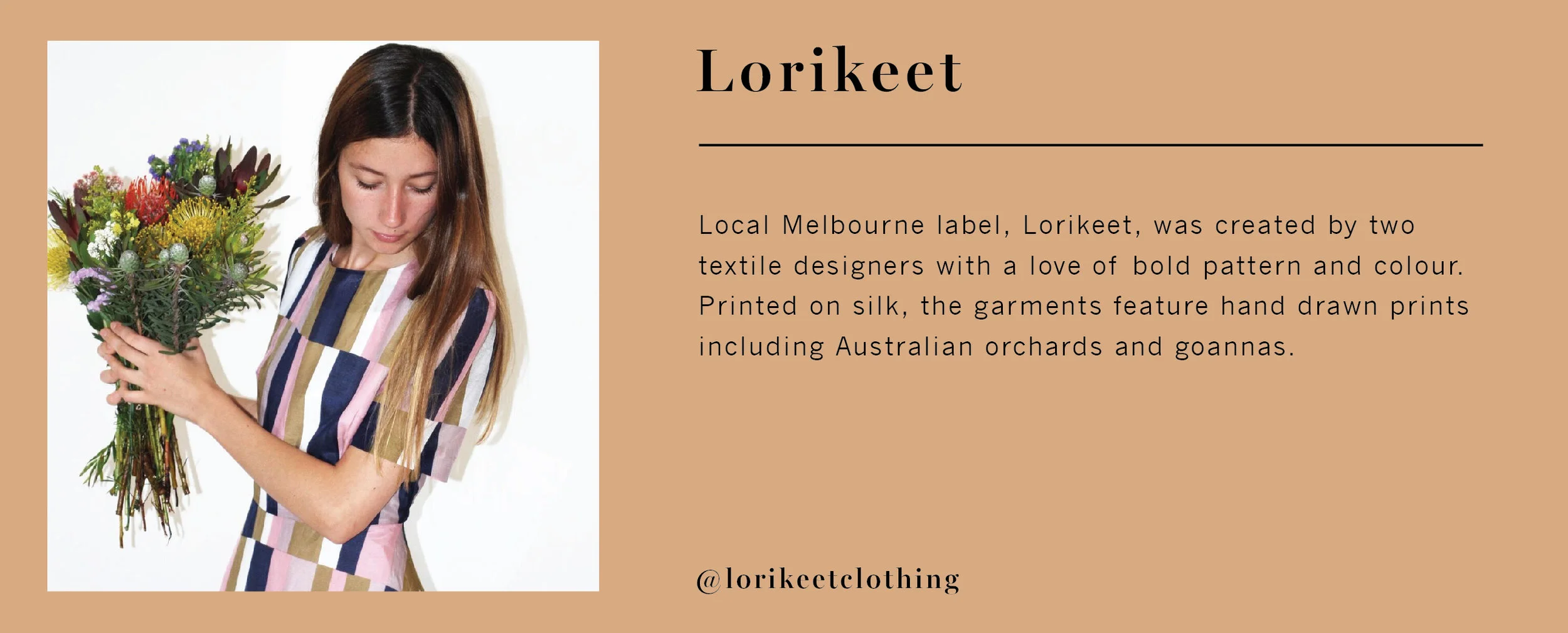 Lorikeet-01.jpg