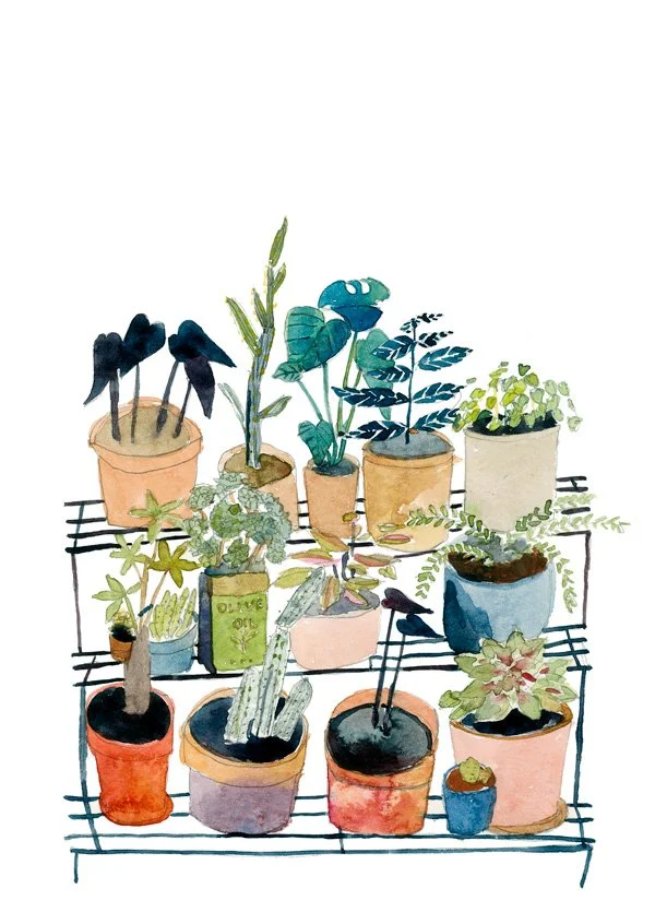 web_ebarnett_plantstand.jpg