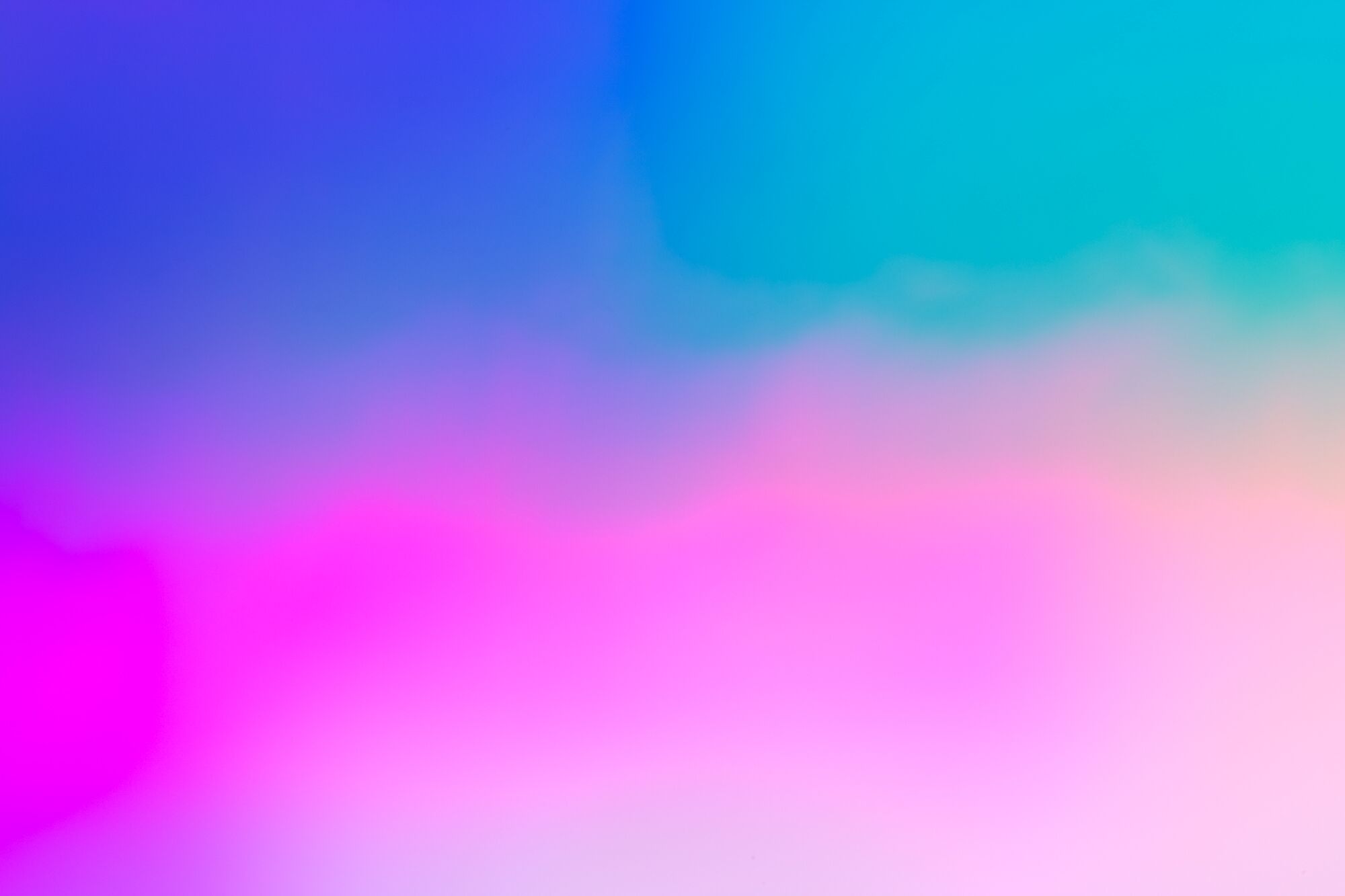 Spectrums of the Galapagos by Kate Ballis1.jpeg