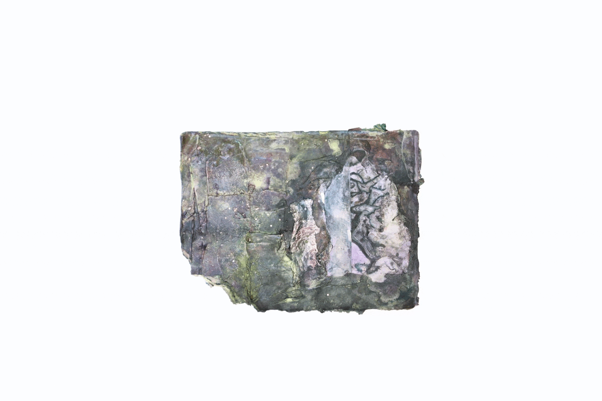 smallcollage.gif