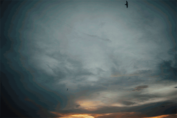 DM7A1721.gif