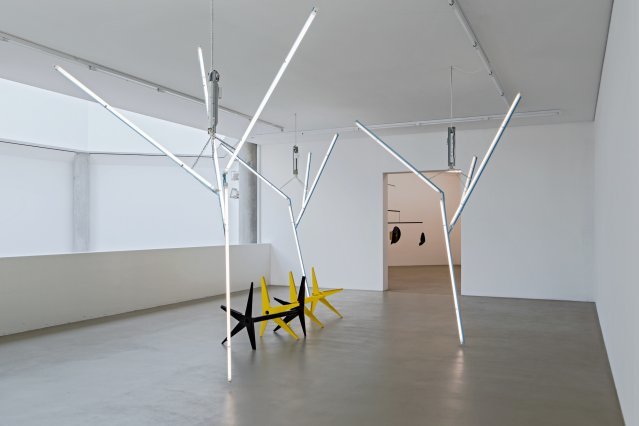 Martin Boyce, Our Love is Like the Flowers, the Rain, the Sea and the Hours (Black and Yellow Branches with Trees) . Installation view. Courtesy of the Museum Für Gegenwartkunst, Basel