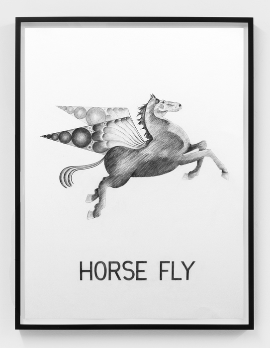 Vern Blosum, Horse Fly, 2015, Graphite on paper