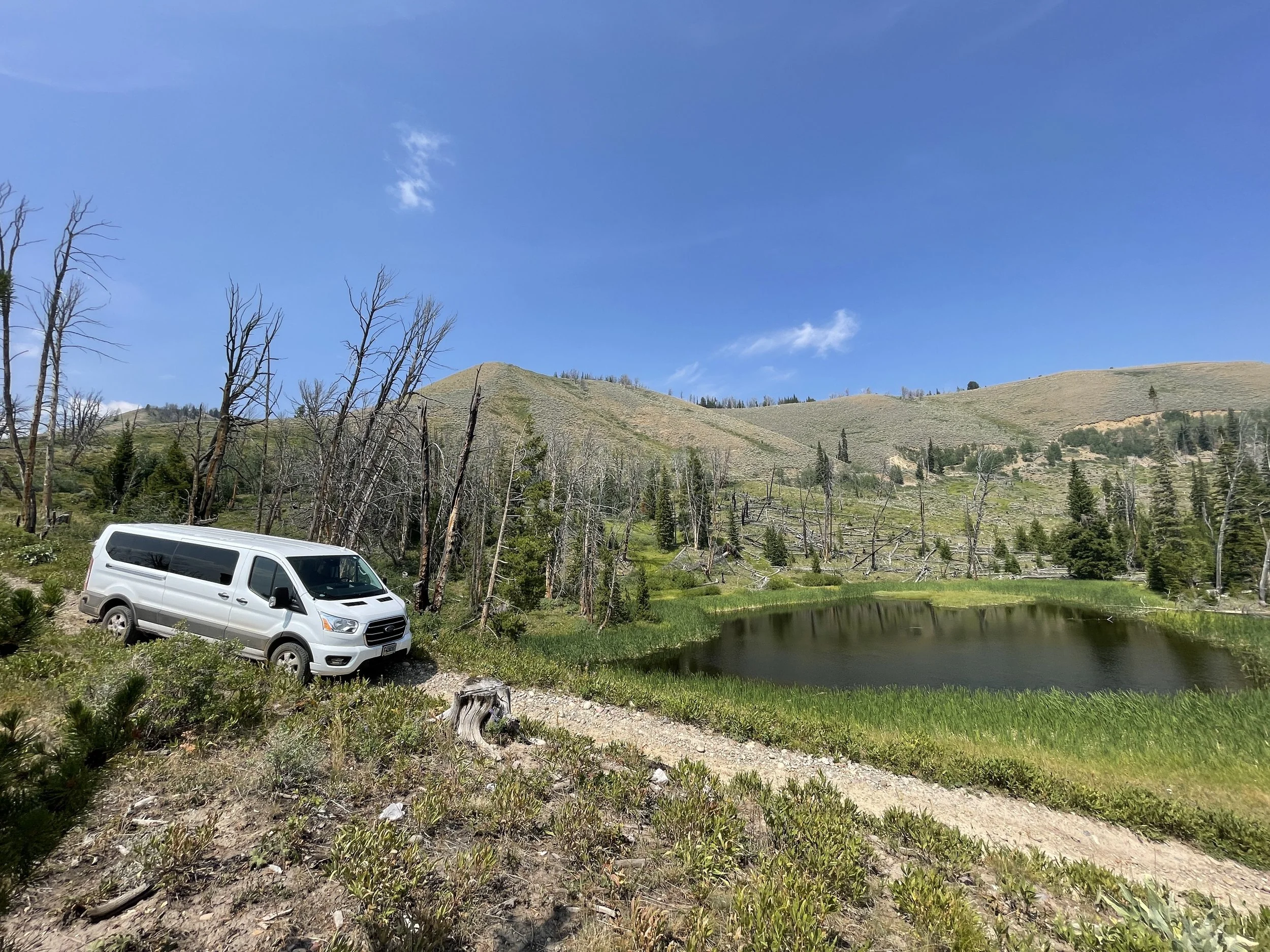 Best Tour Jackson Hole.JPG