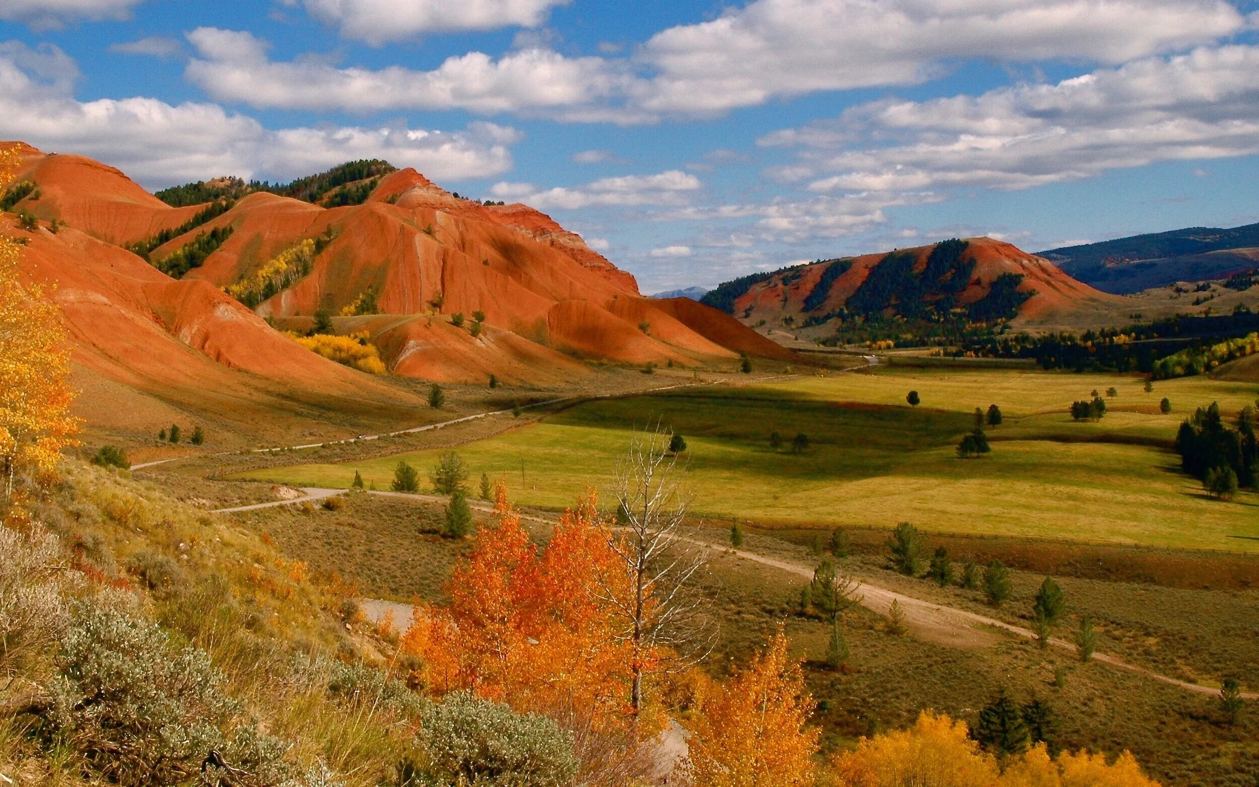 private-luxury-tours-jackson-hole-gunslinger.jpg