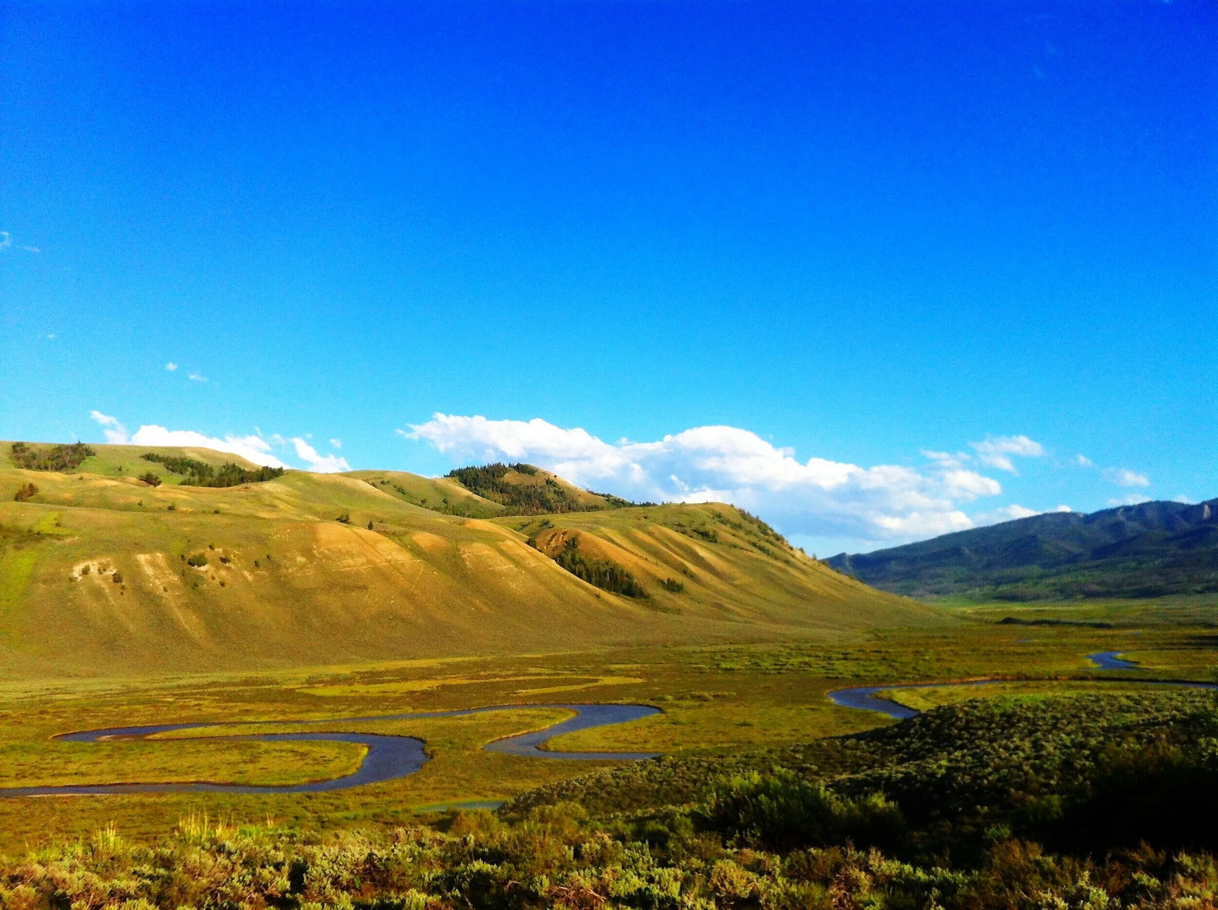 custom-tours-jackson-hole-wyoming-gunslinger.jpg