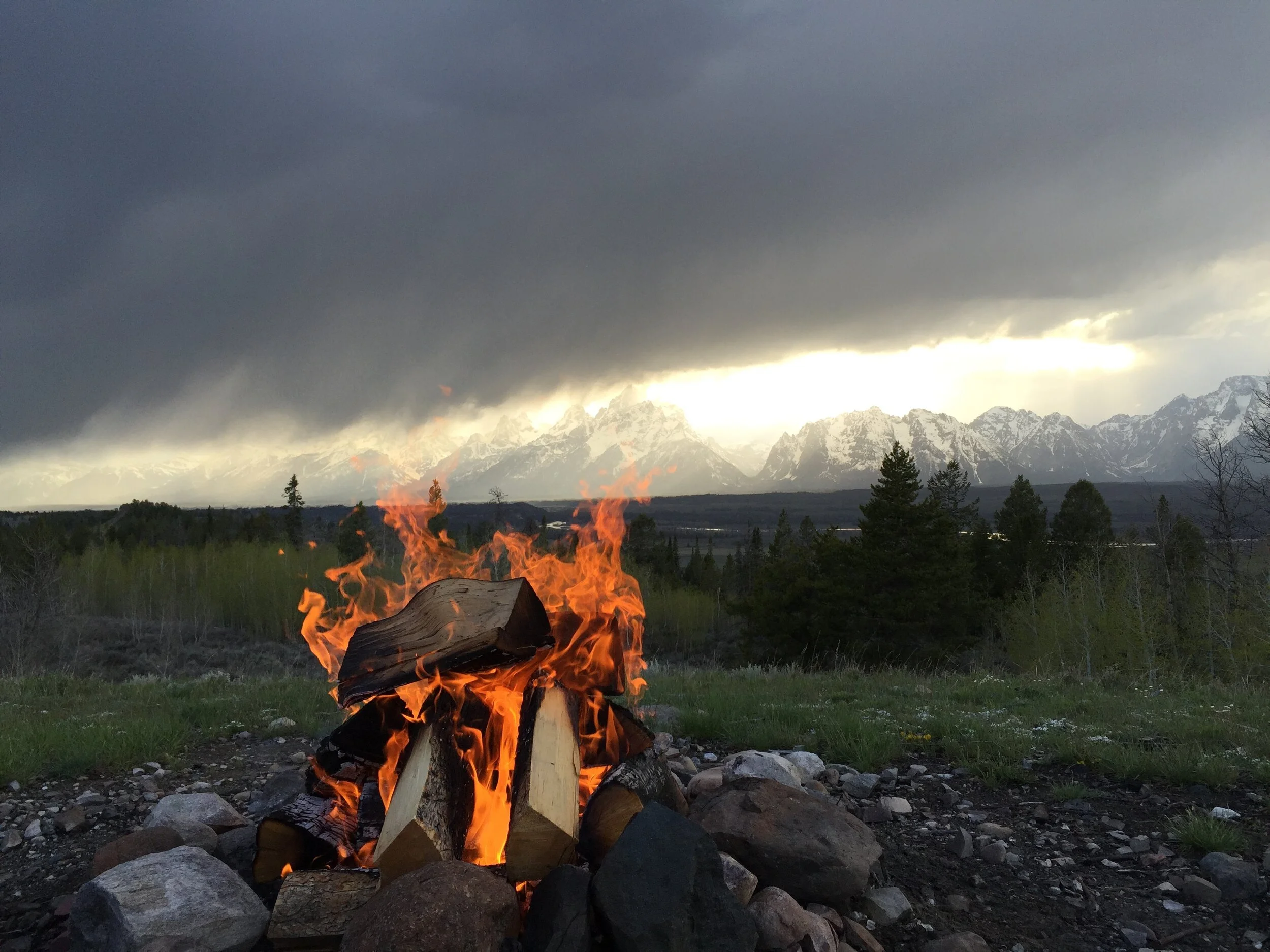 jackson-hole-tours-private-western-experience-yellowstone.JPG