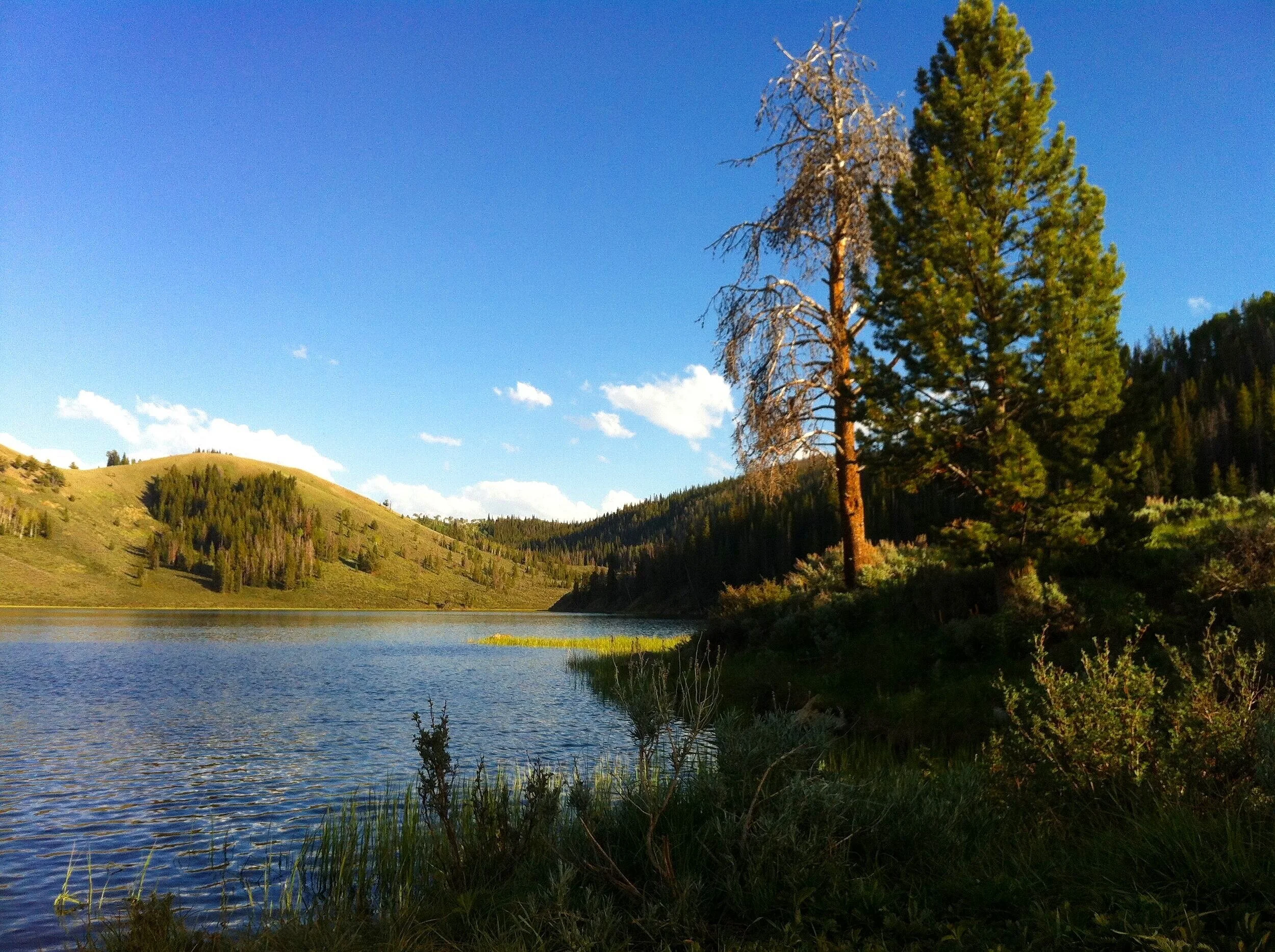 tours-in-jackson-hole-private-family-experience-grand-teton.jpg
