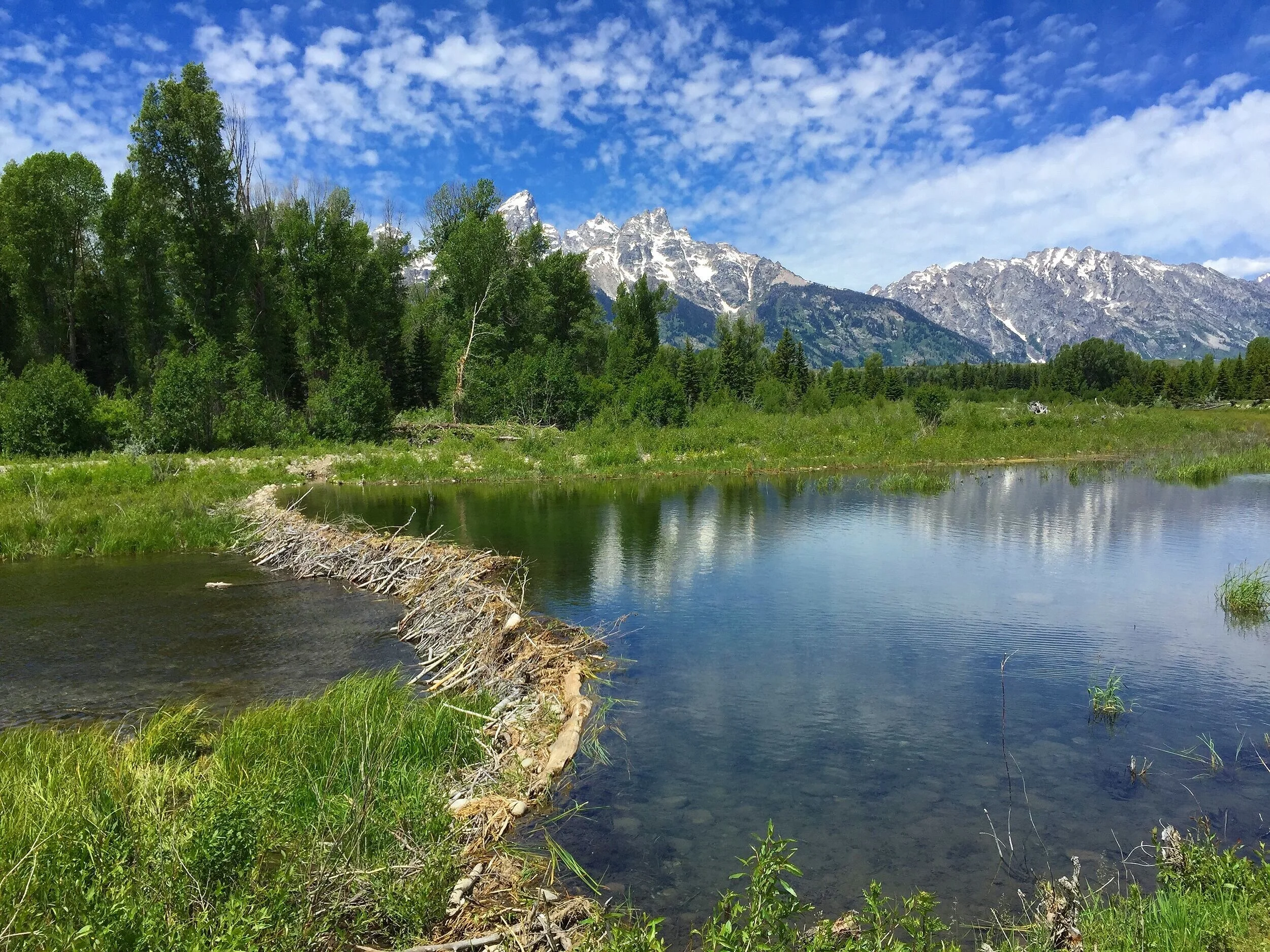 best-jackson-hole-tours-private-groups-wyoming.jpg