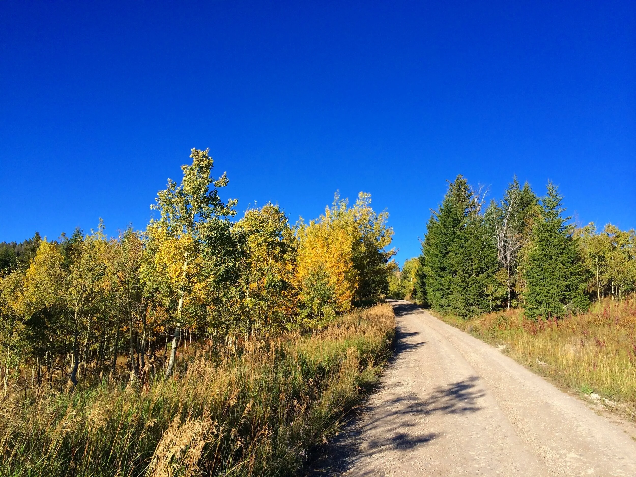 jackson-hole-adventures-luxury-experience-bespoke.jpg