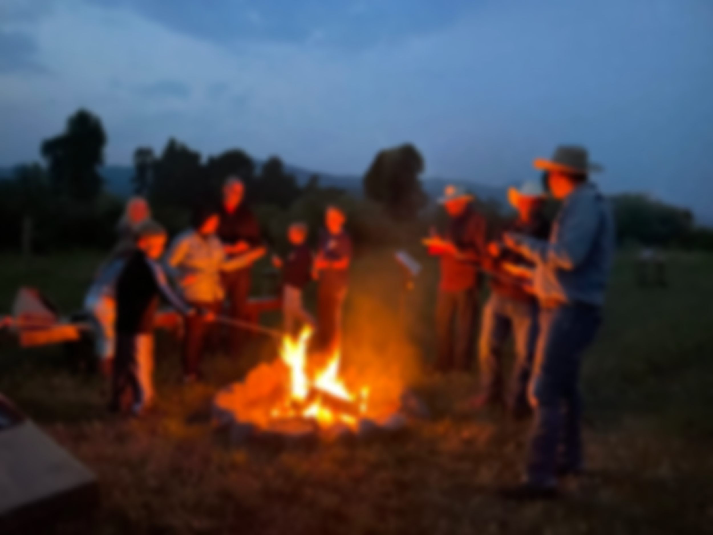 best-wildlife-tours-jackson-hole-private.png