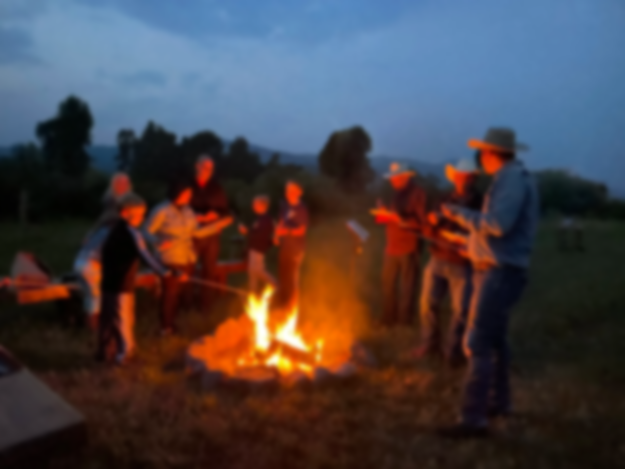 best-wildlife-tours-jackson-hole-private.png