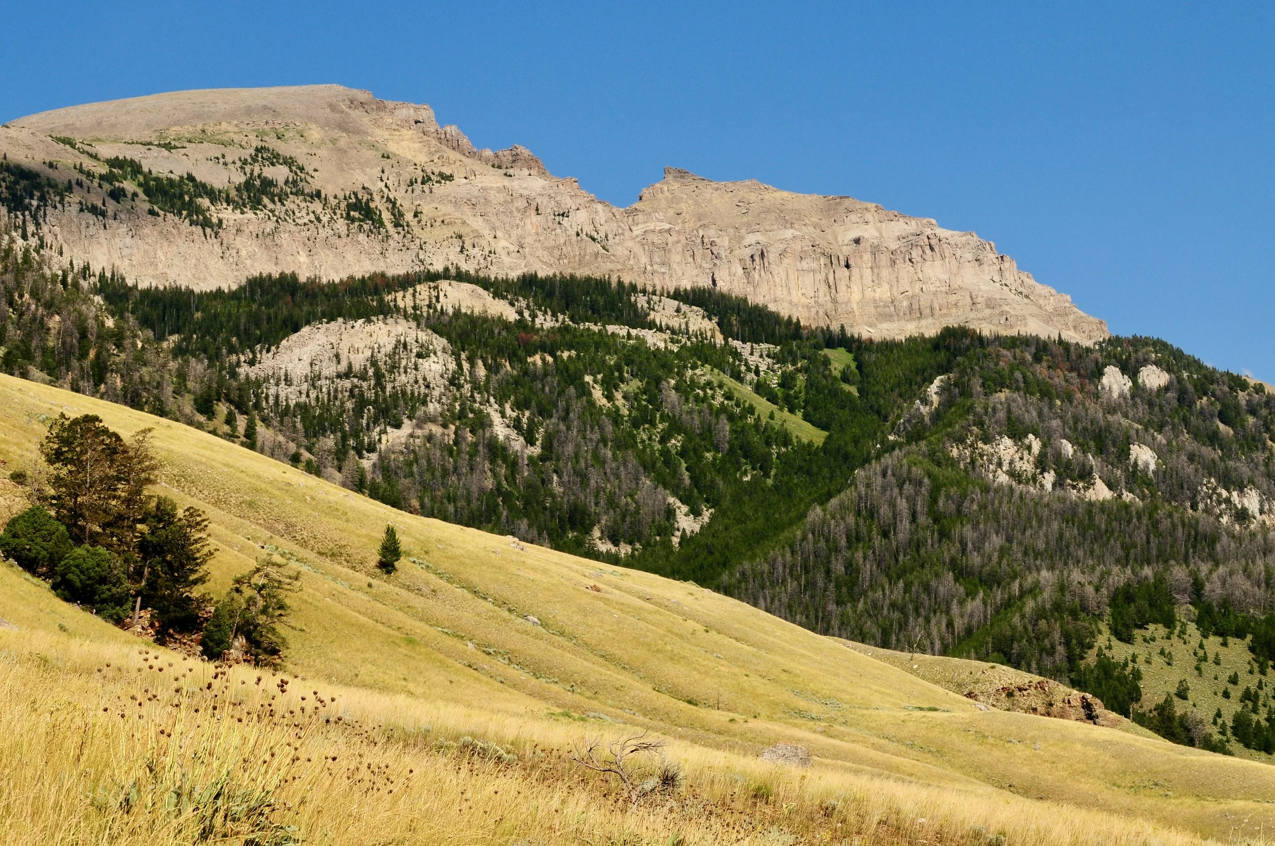 best-things-to-do-in-jackson-hole.JPG