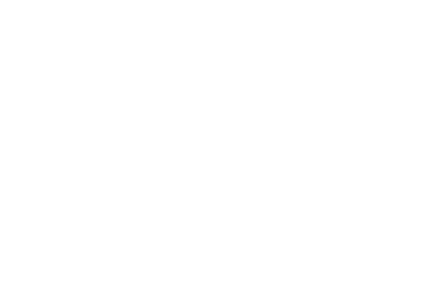 Gunslinger · Jackson Hole · 