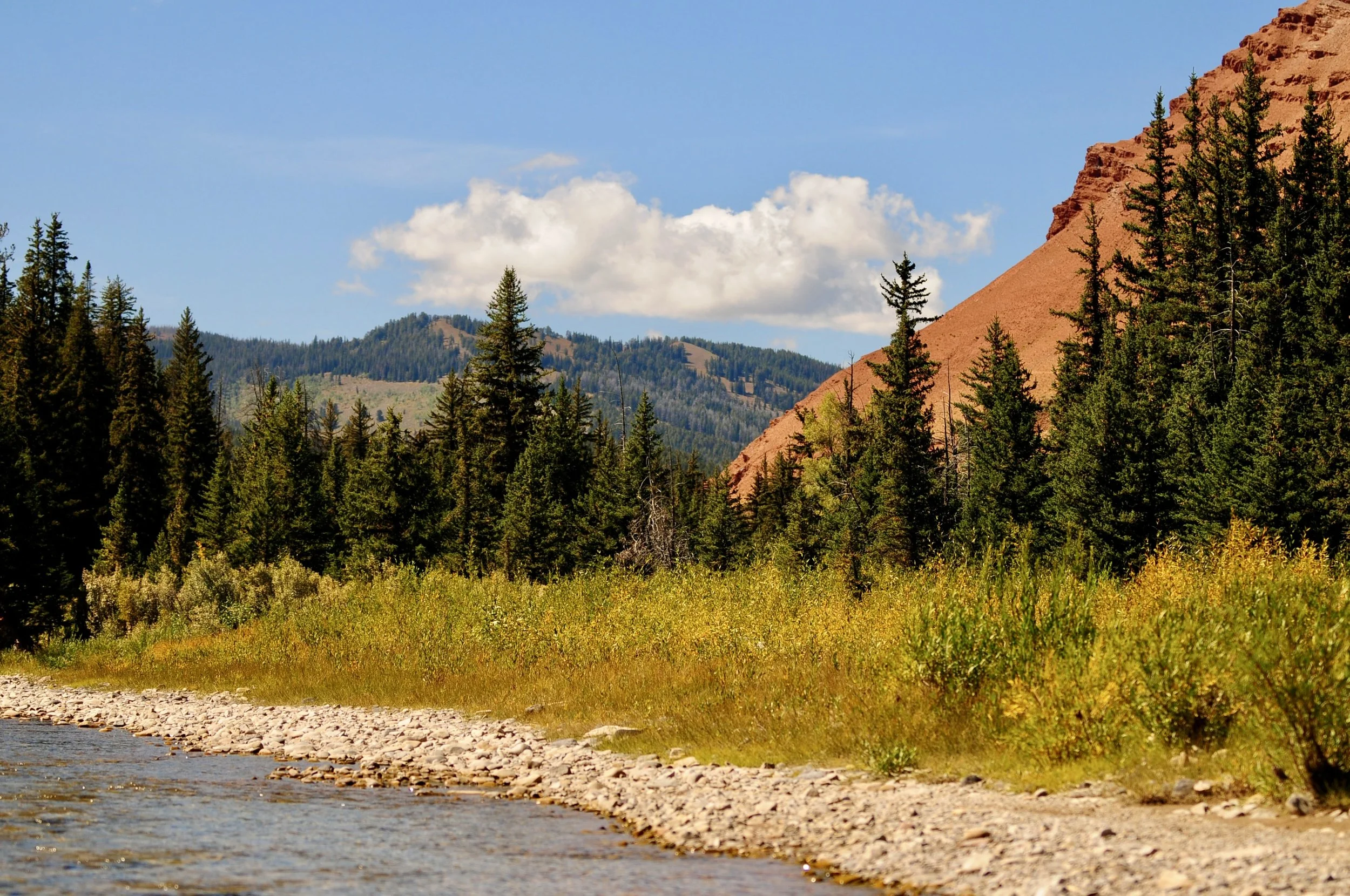 best-things-honeymoon-to-do-jackson-hole.JPG