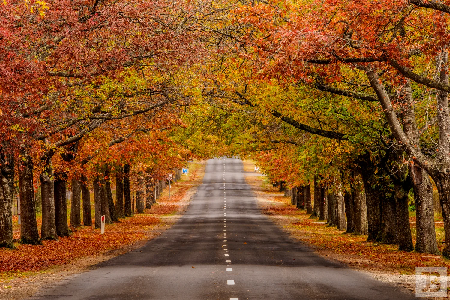 Honour Ave, Mount Macedon