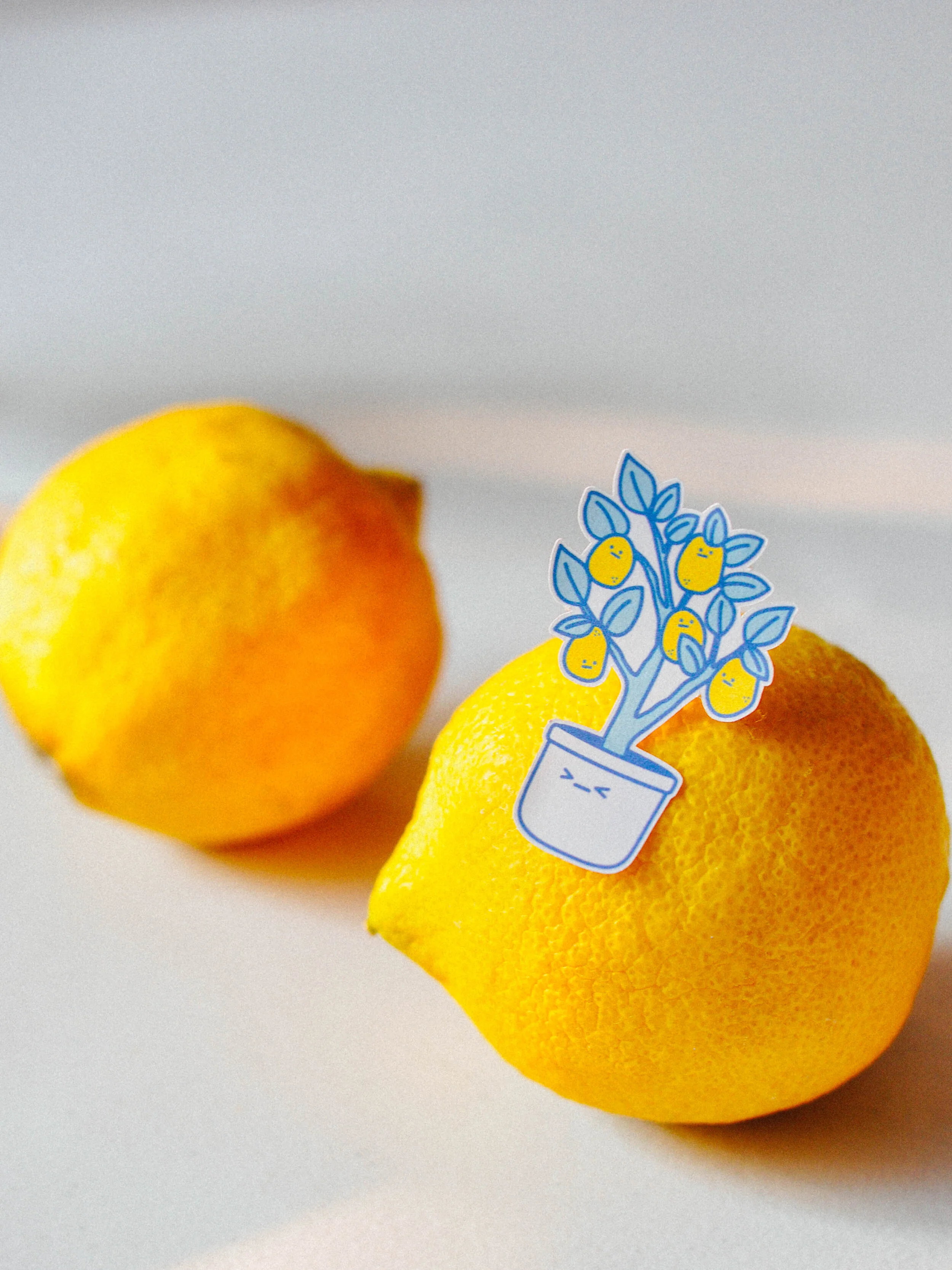 Design by Monica &amp; Bora / Photo by Monica / Edited by Bora