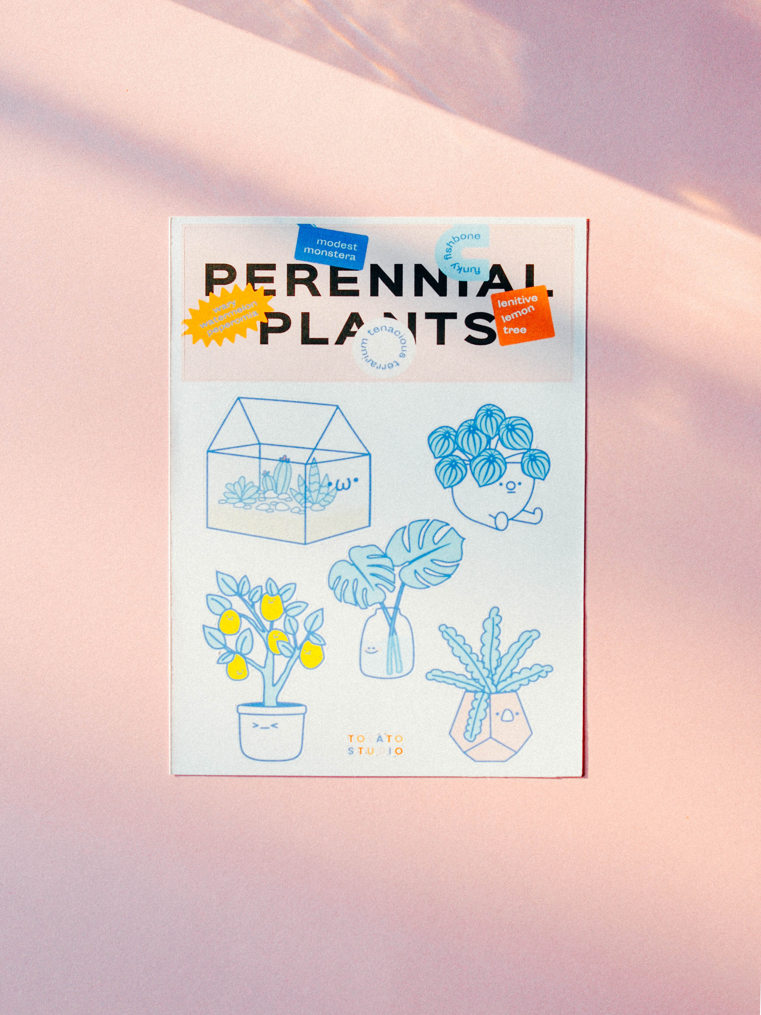 Design by Monica &amp; Bora / Photo by Monica / Edited by Bora