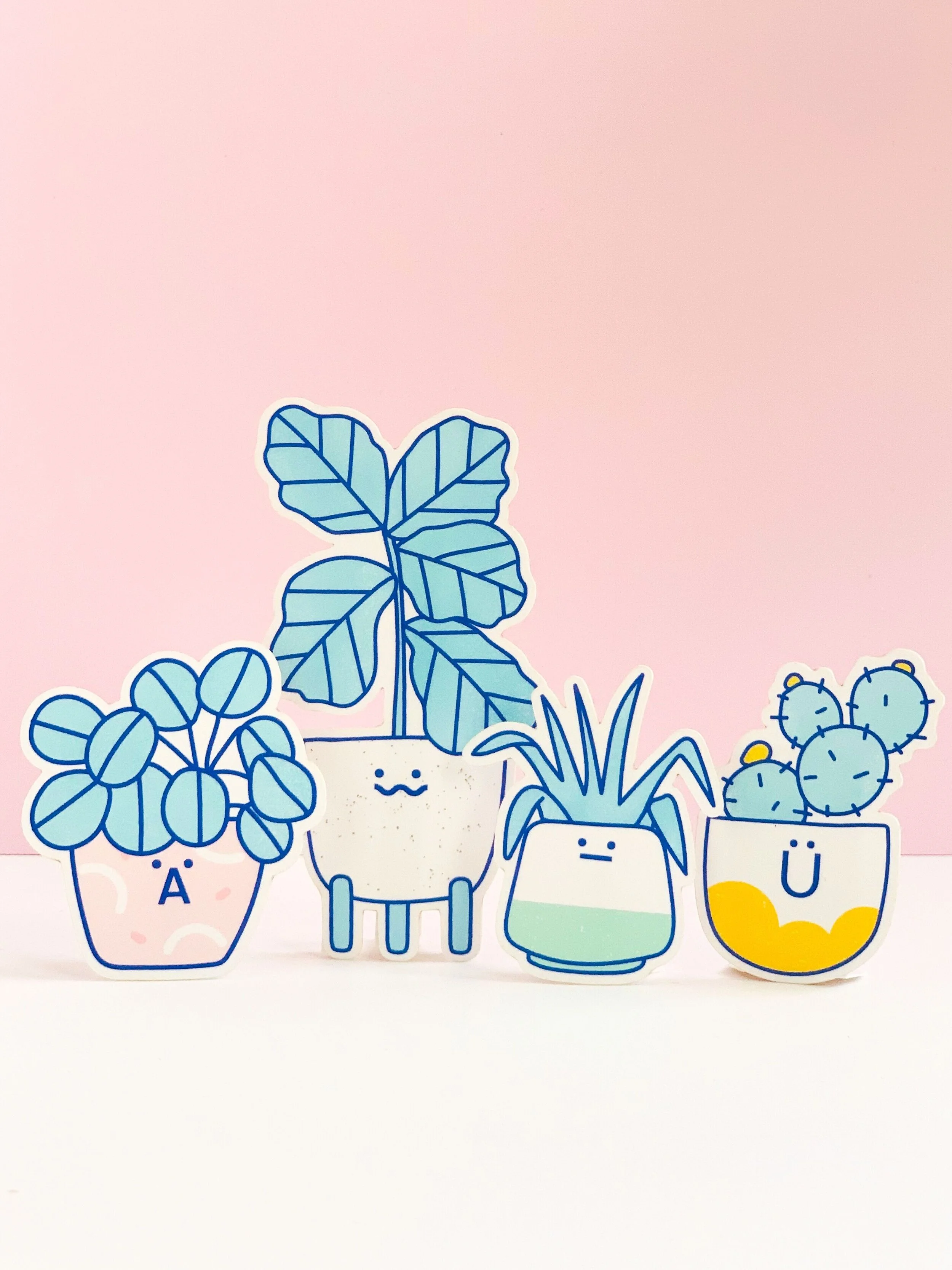 Design by Monica &amp; Bora / Photo by Monica / Edited by Bora