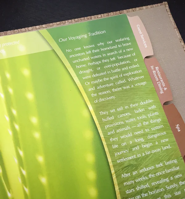 Outrigger Proj.4 .jpg