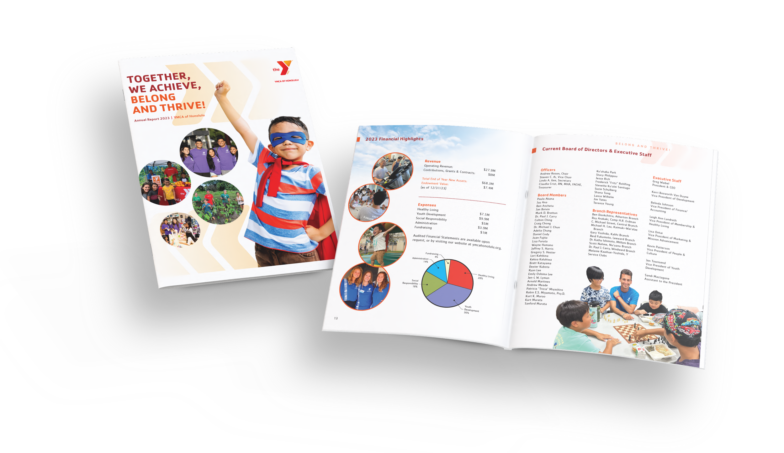 Y annual report.png