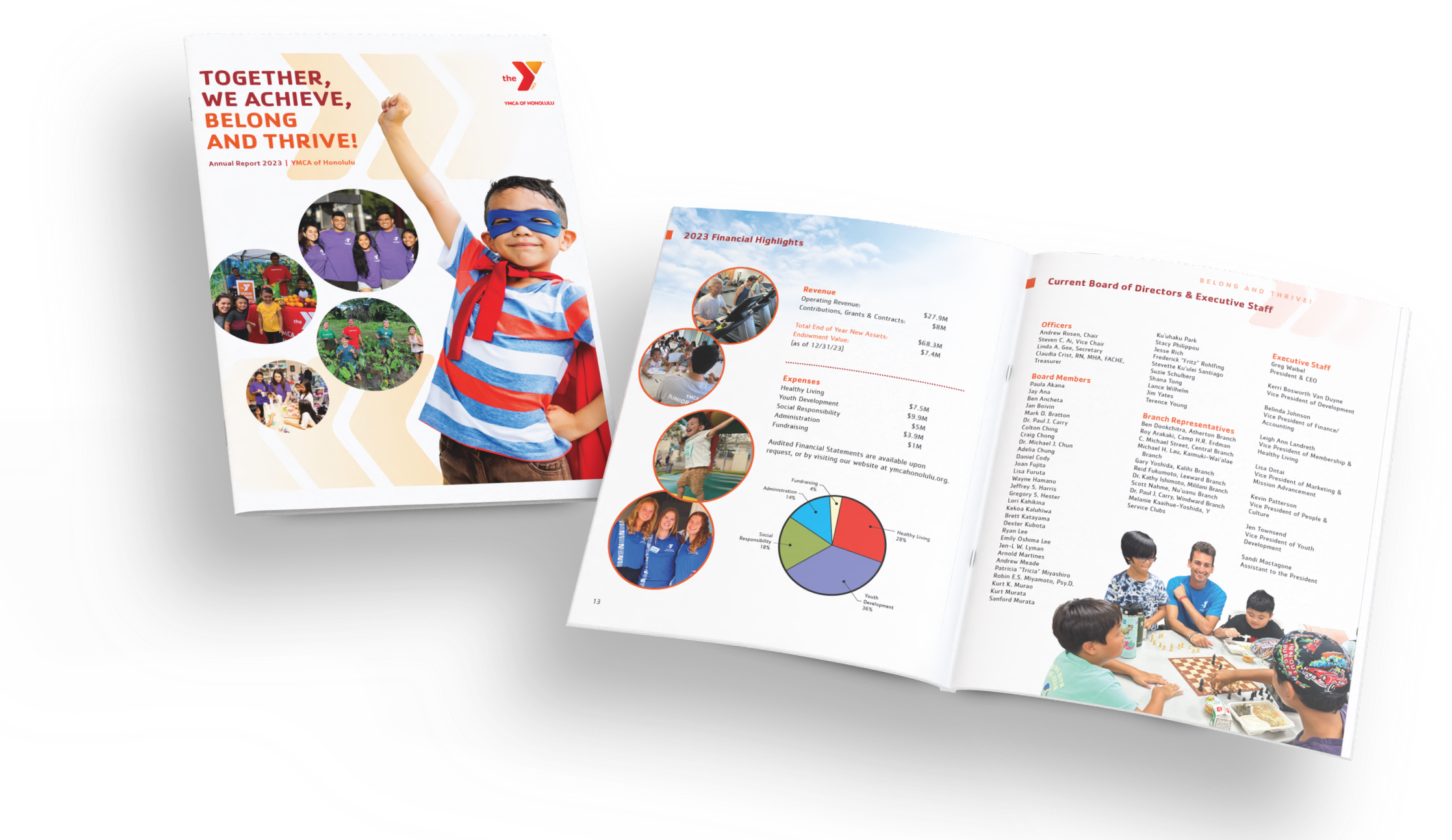 Y+annual+report.png
