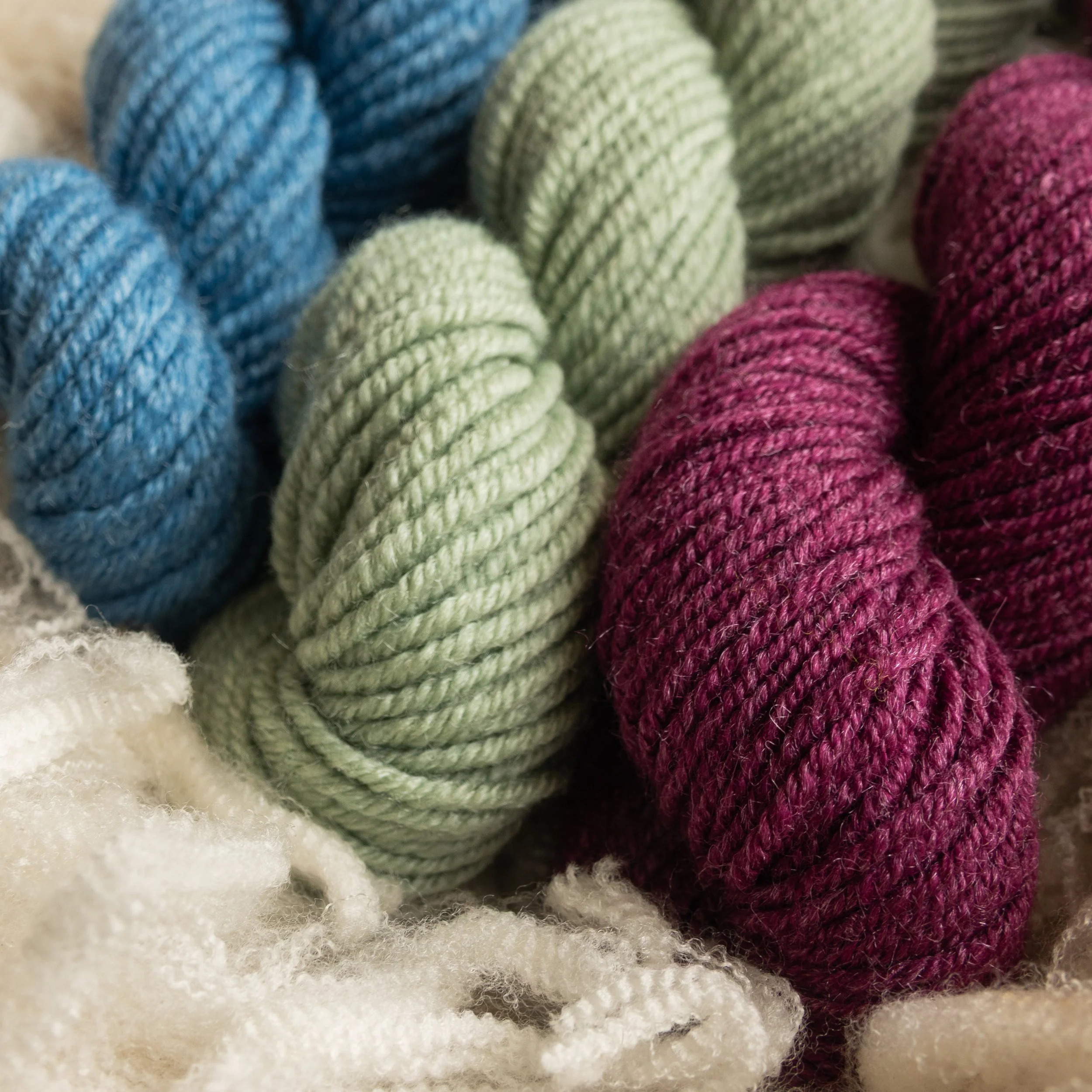 SM-10-MIN (DSC04462) 2026 03.jpg