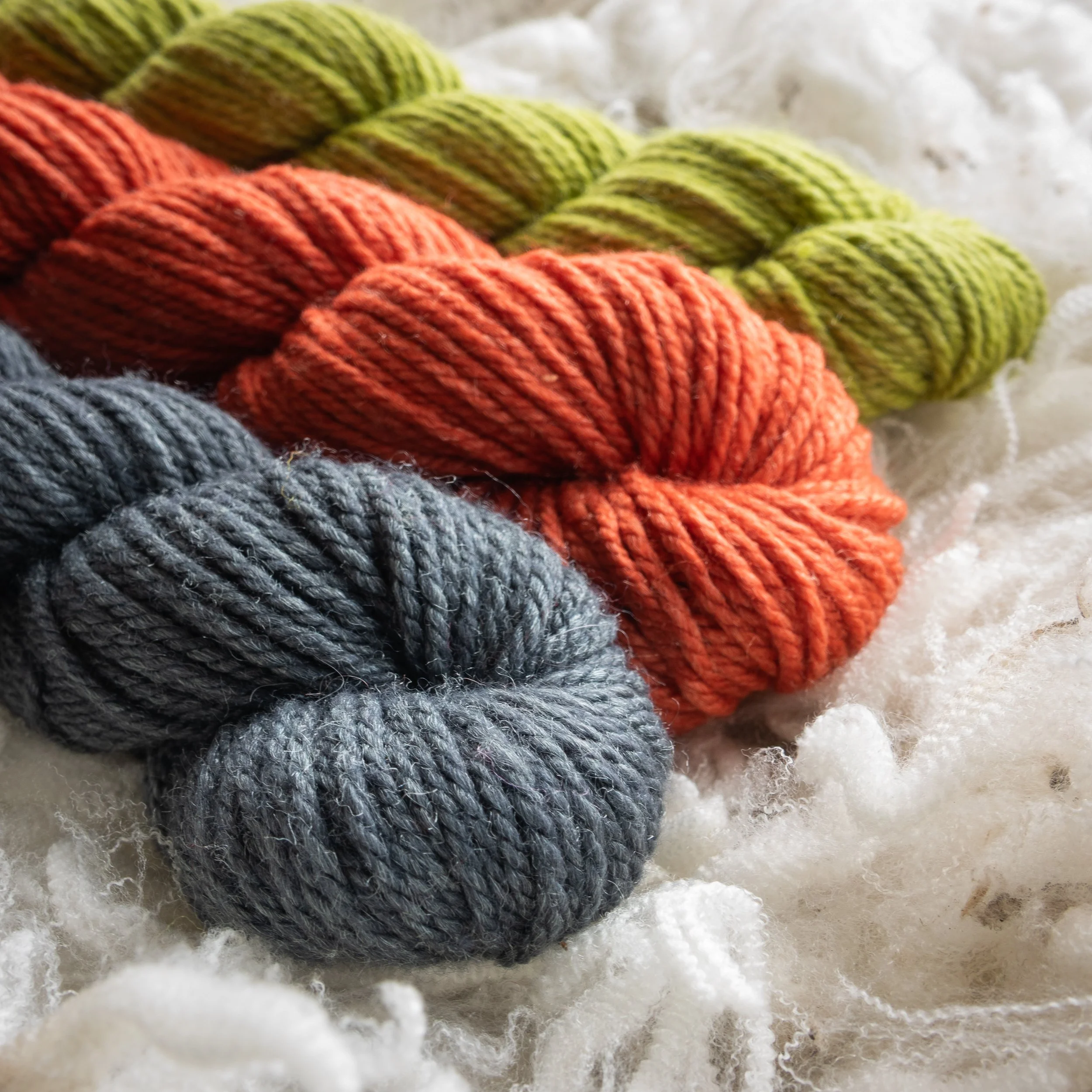 SM-05-MIN (DSC04442) 2026 03.jpg