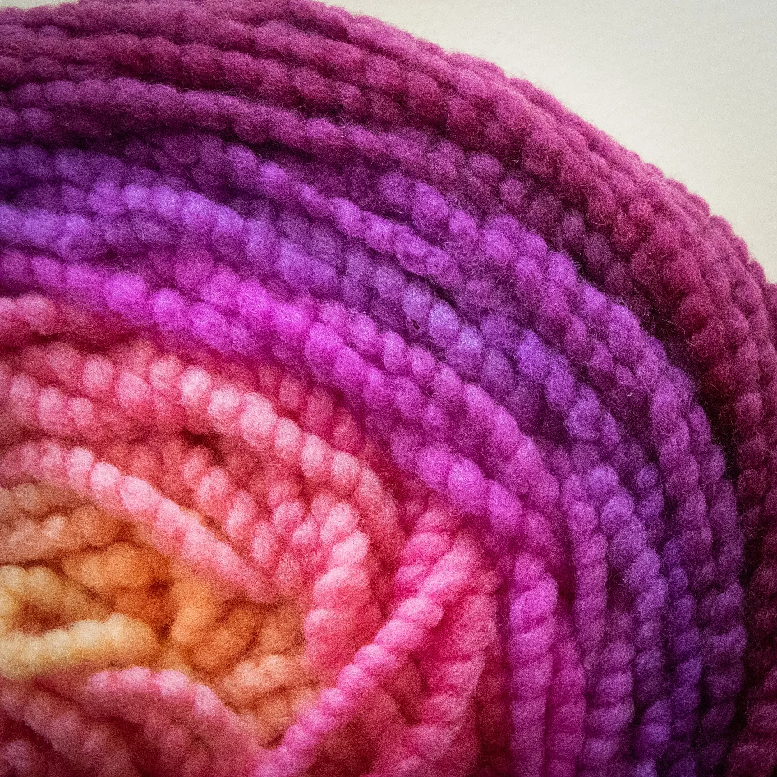 M-12-CCY-FLG Flax Lily Gradient (DSC05168) 2026 04.jpg