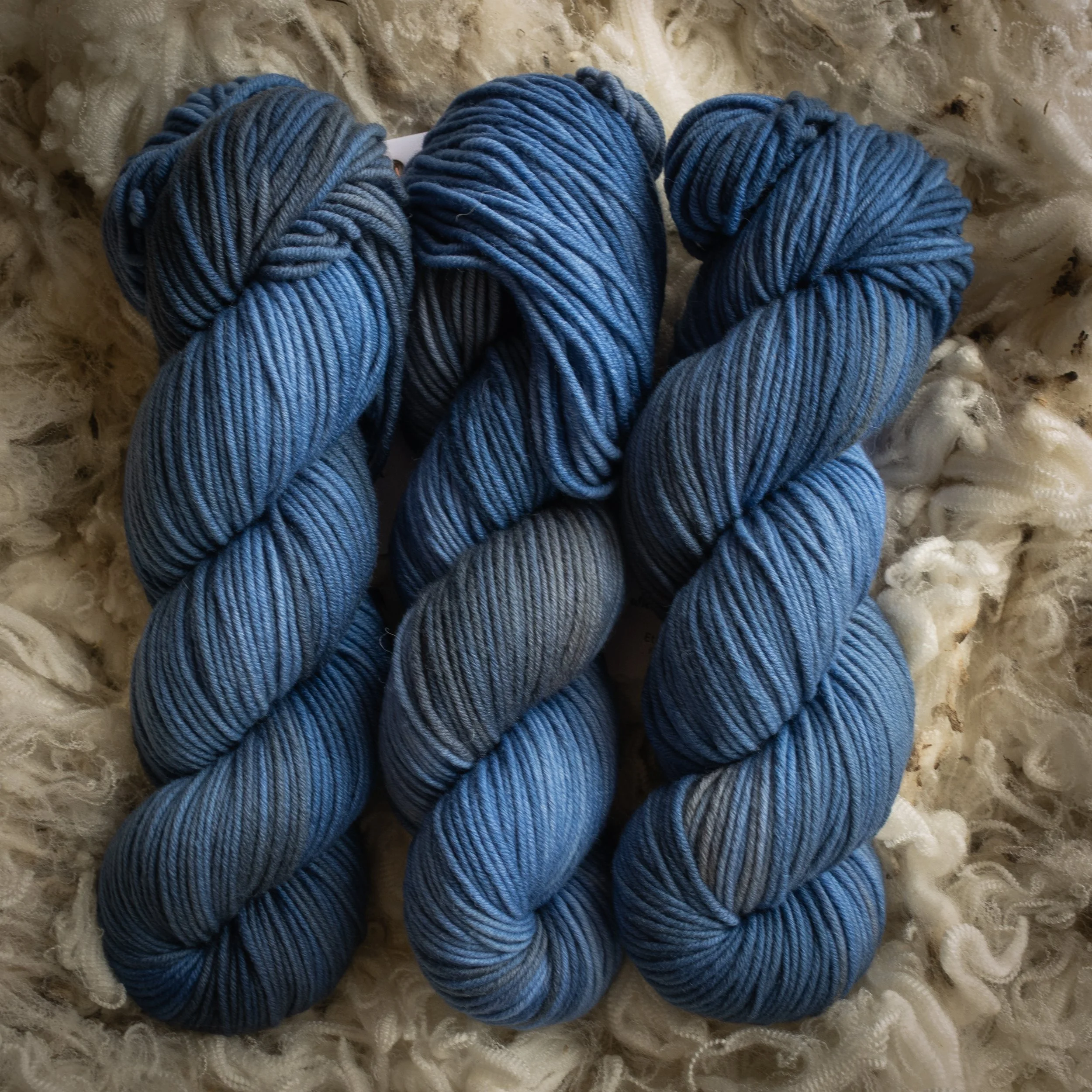 M-10-AUG-COS Cosy Evening (DSC04517) 2026 03.jpg